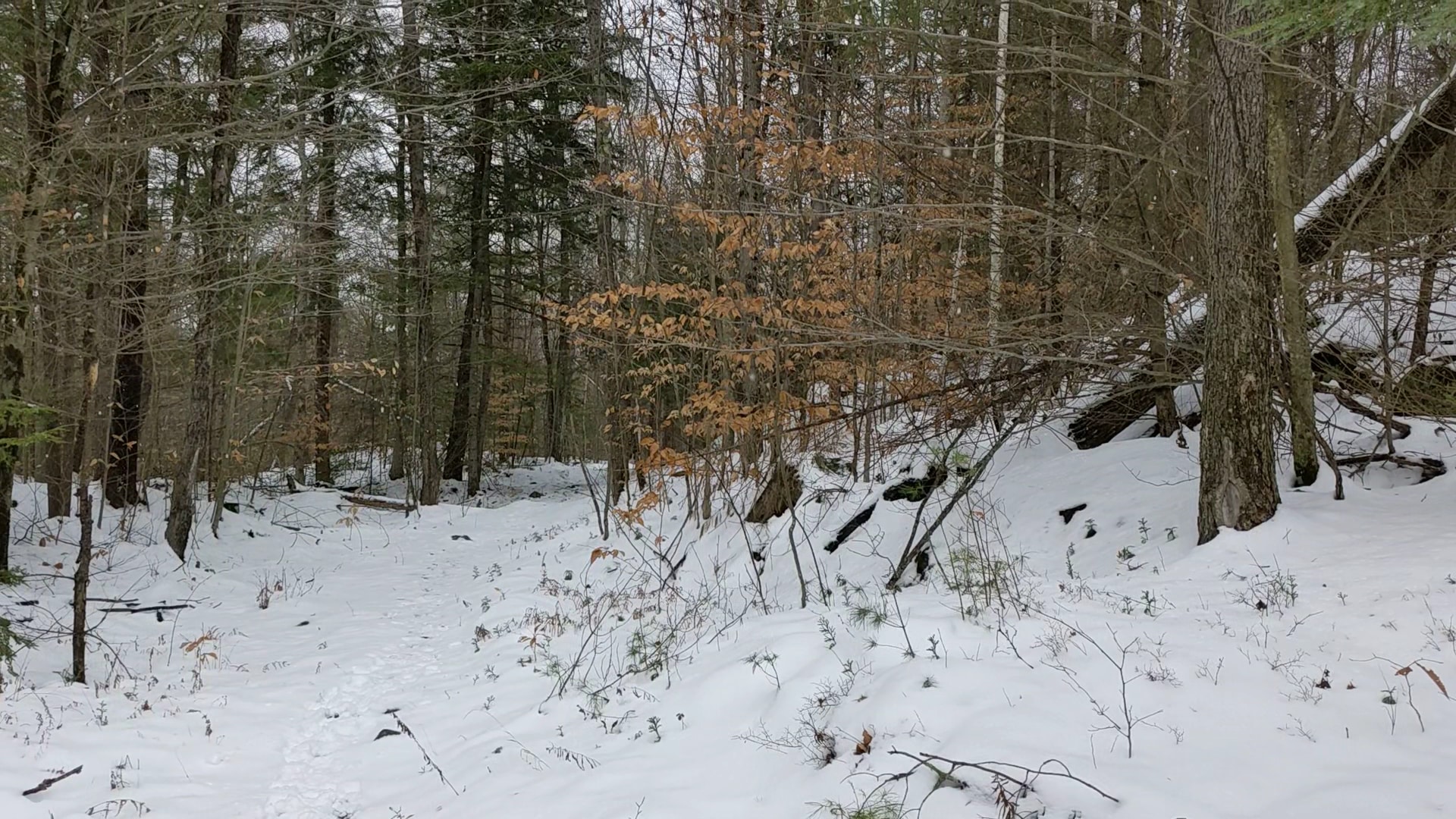 Amy's Park - Bolton Landing, NY