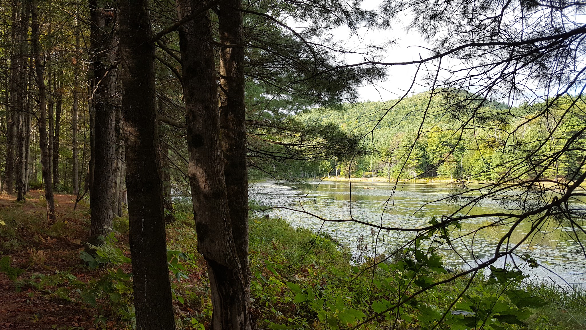 Bolton Conservation Park - Bolton Landing, NY