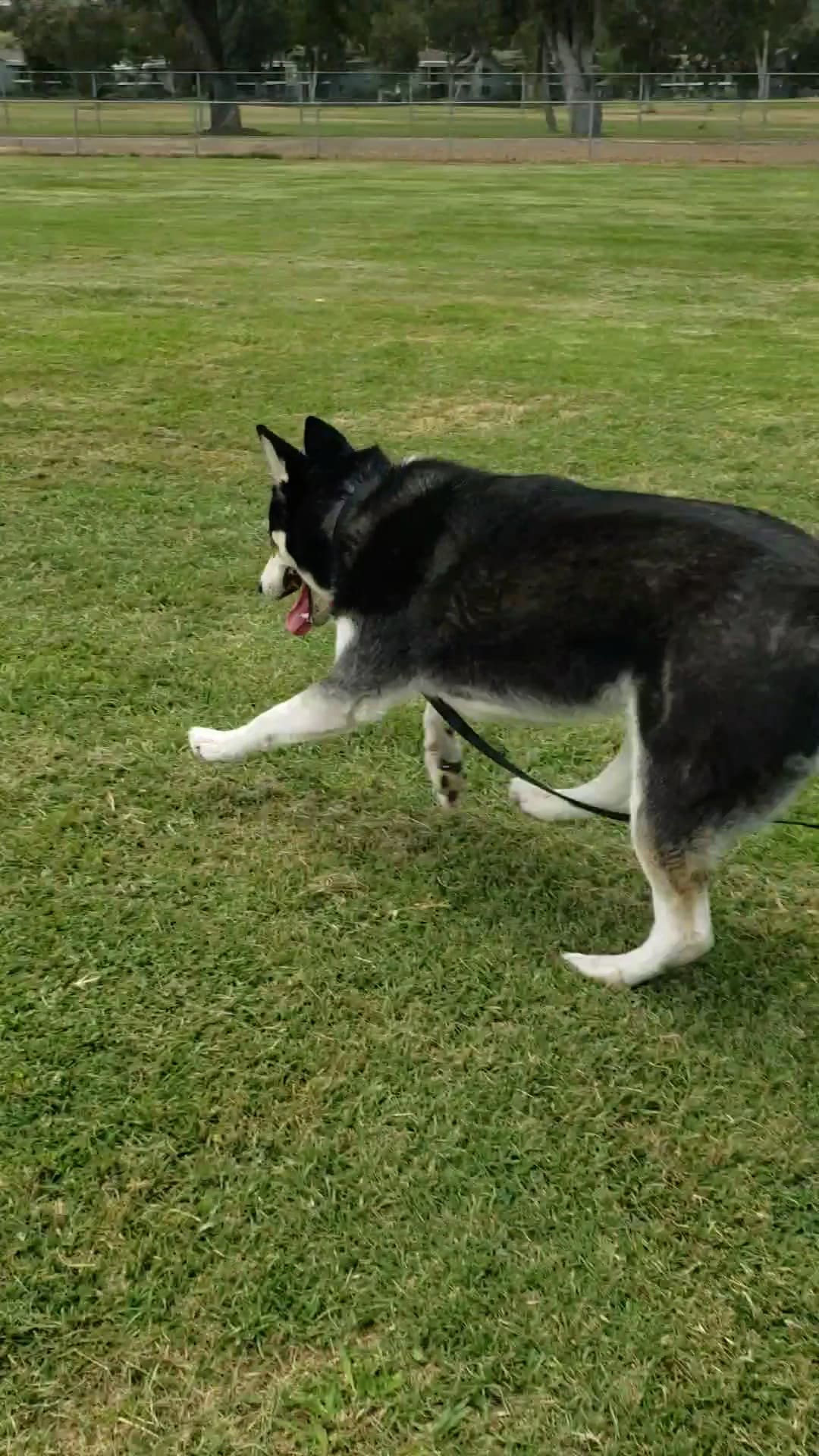 Rohr Park - Bonita, CA