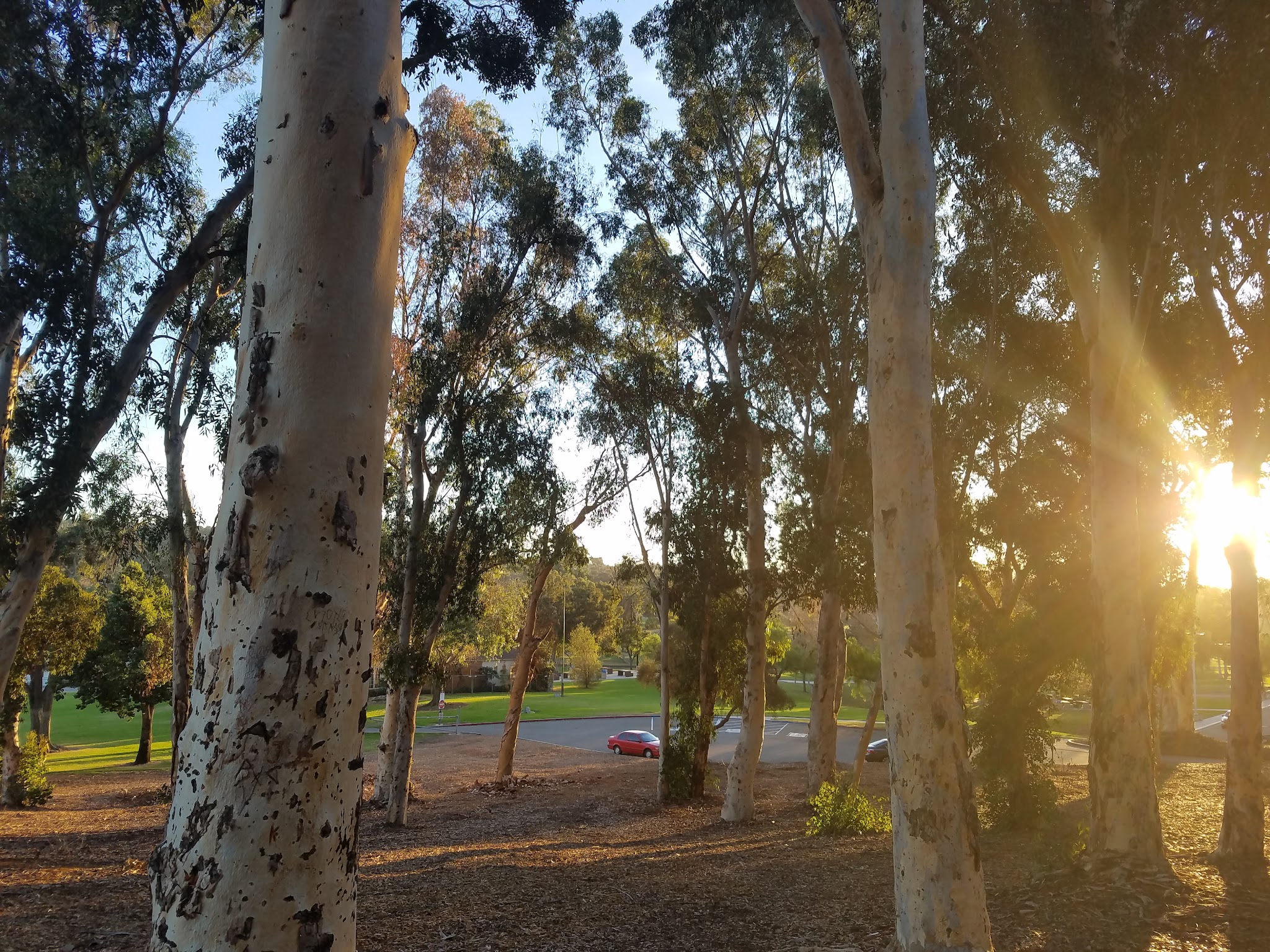 Rohr Park - Bonita, CA