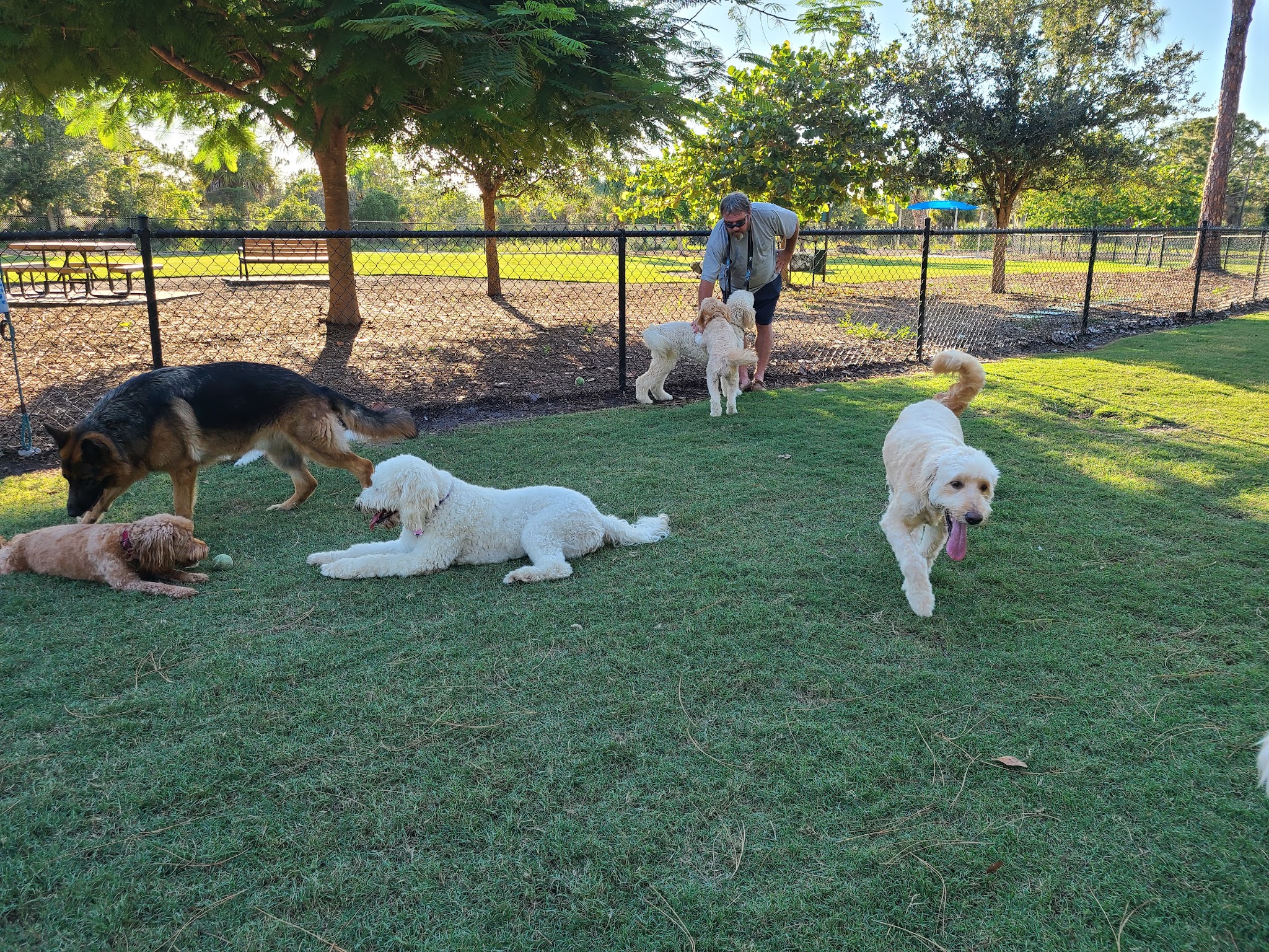 Bonita Springs Dog Park - Bonita Springs, FL