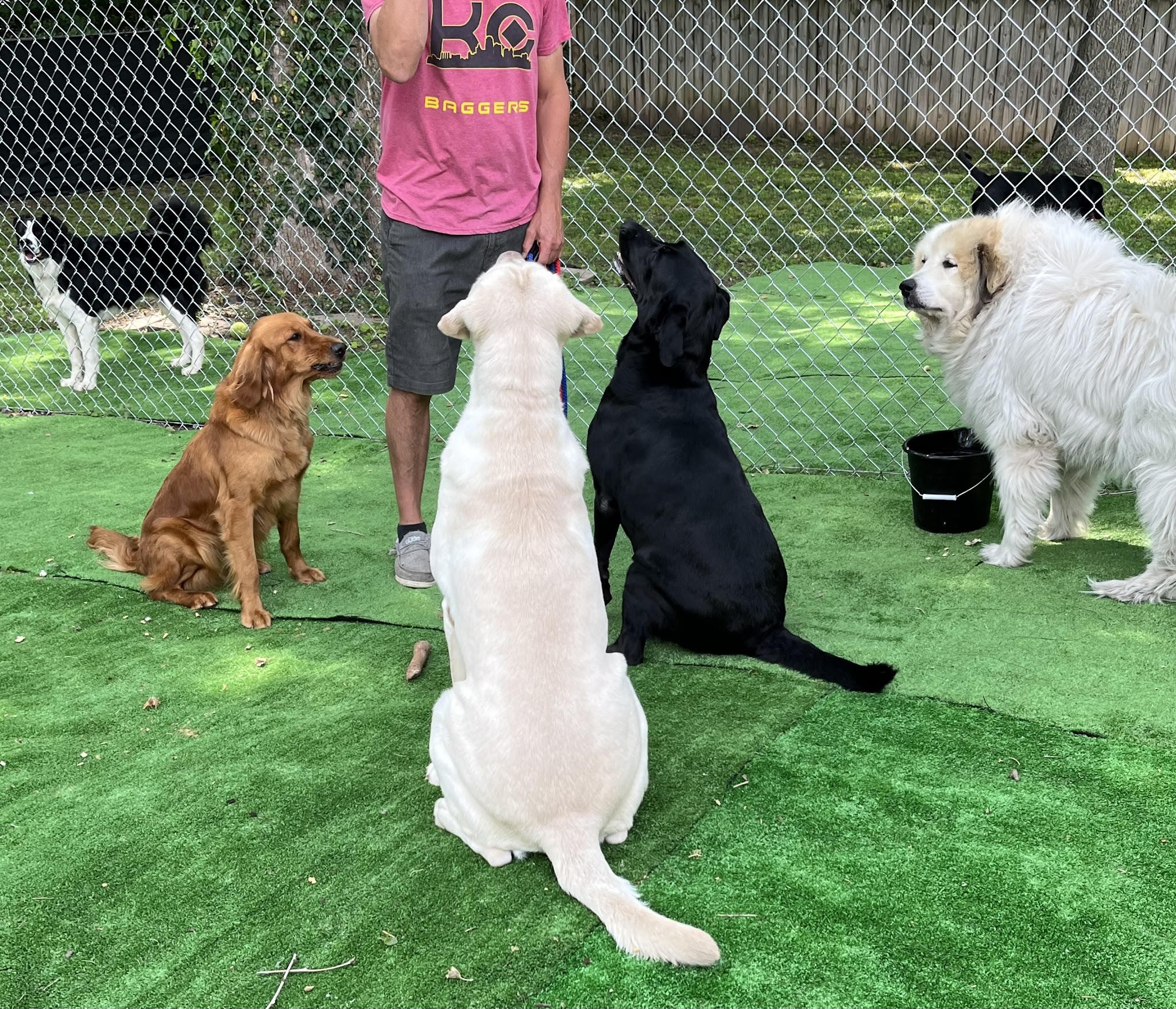 Tanks Place Dog Boarding & Daycare - Bonner Springs, KS