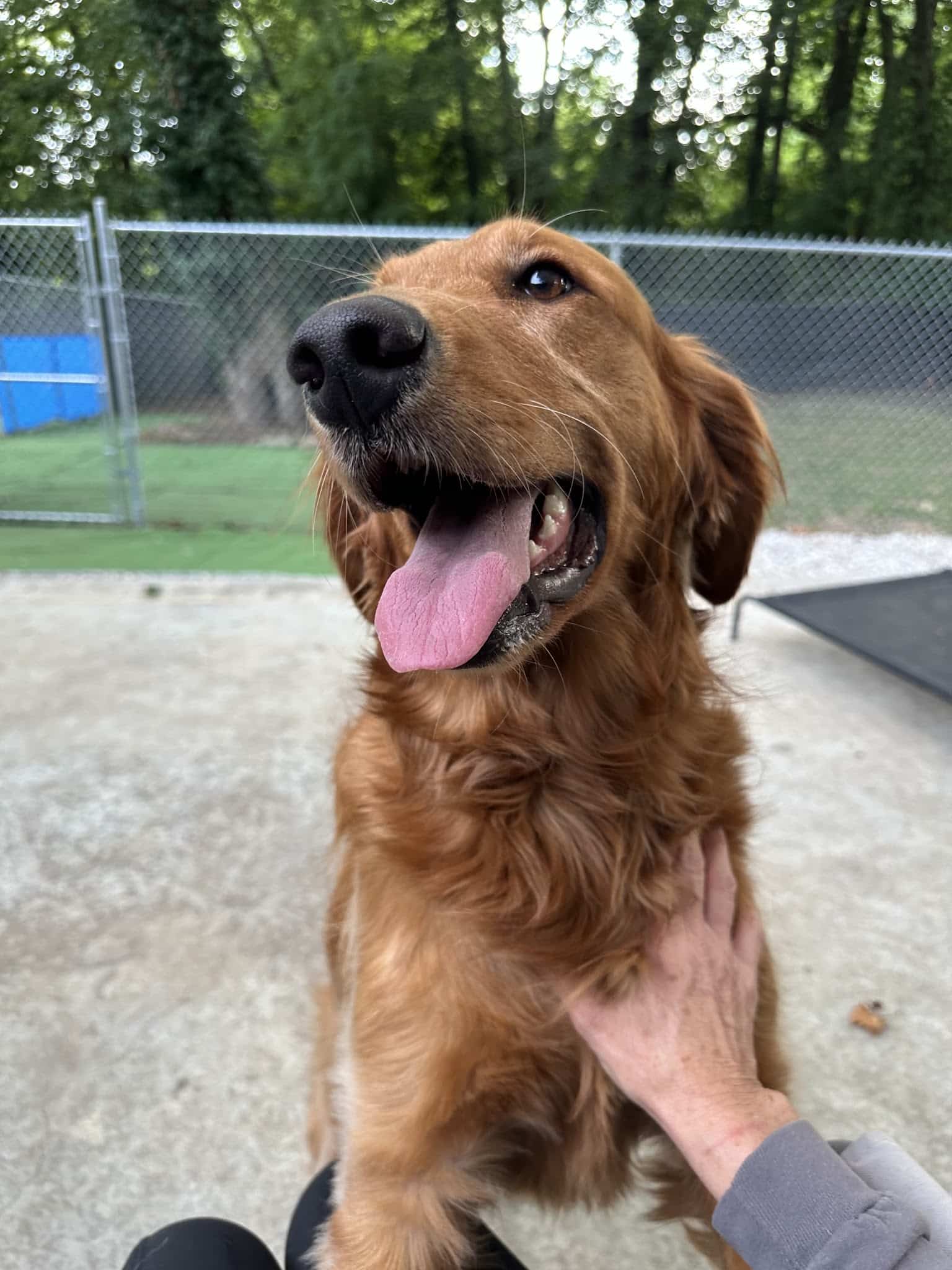 Tanks Place Dog Boarding & Daycare - Bonner Springs, KS