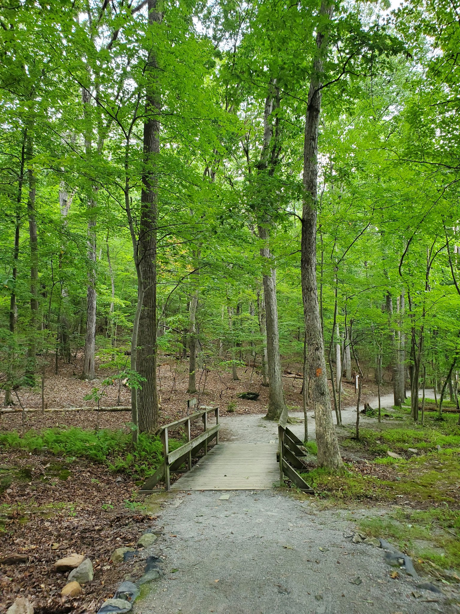 Greenbrier State Park - Boonsboro, MD