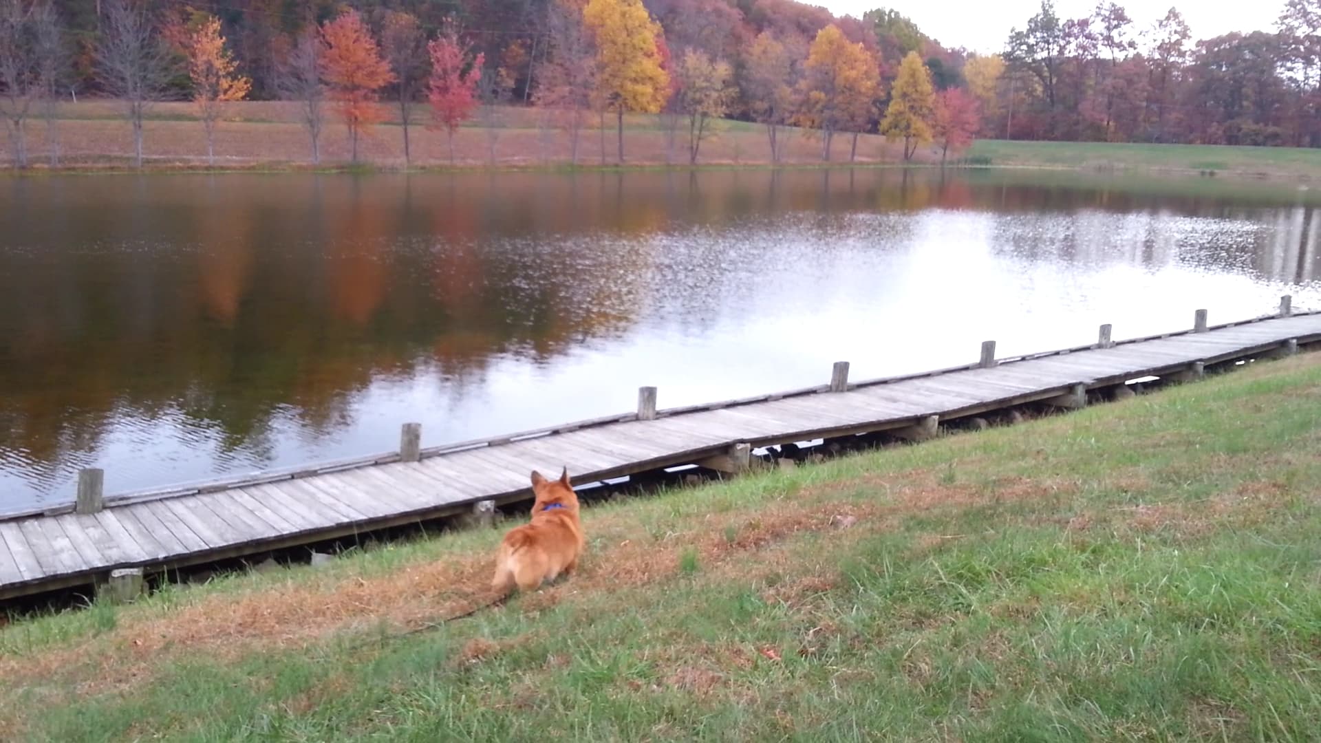 Greenbrier State Park - Boonsboro, MD