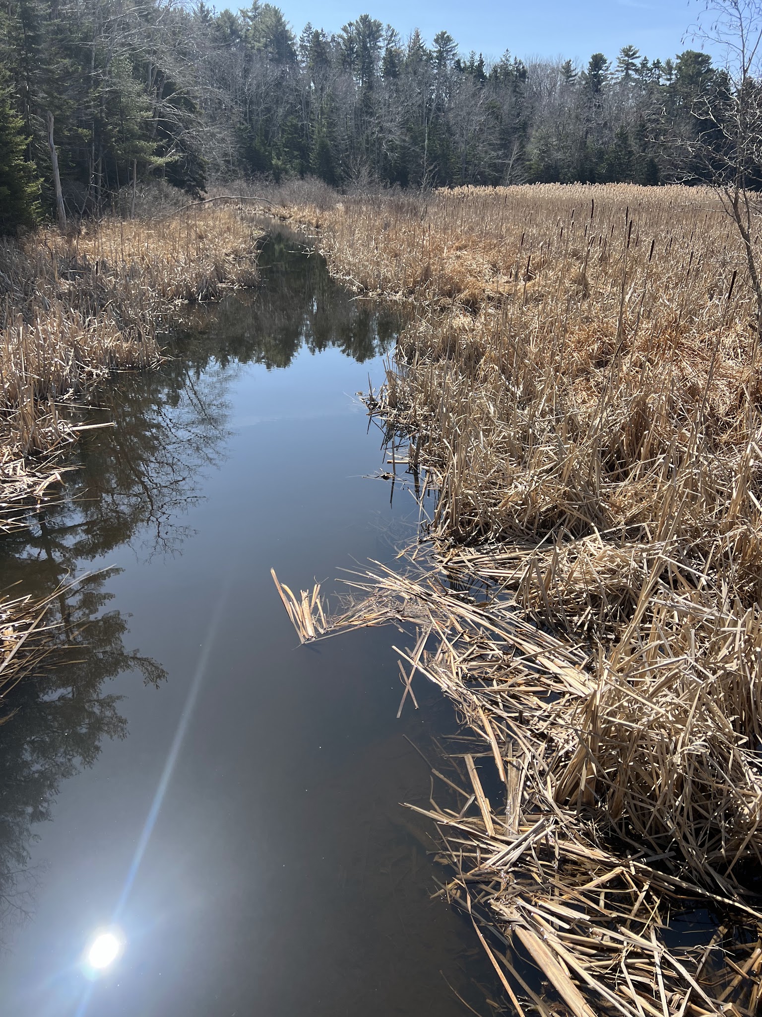 Penny Lake Preserve - Boothbay Harbor, ME