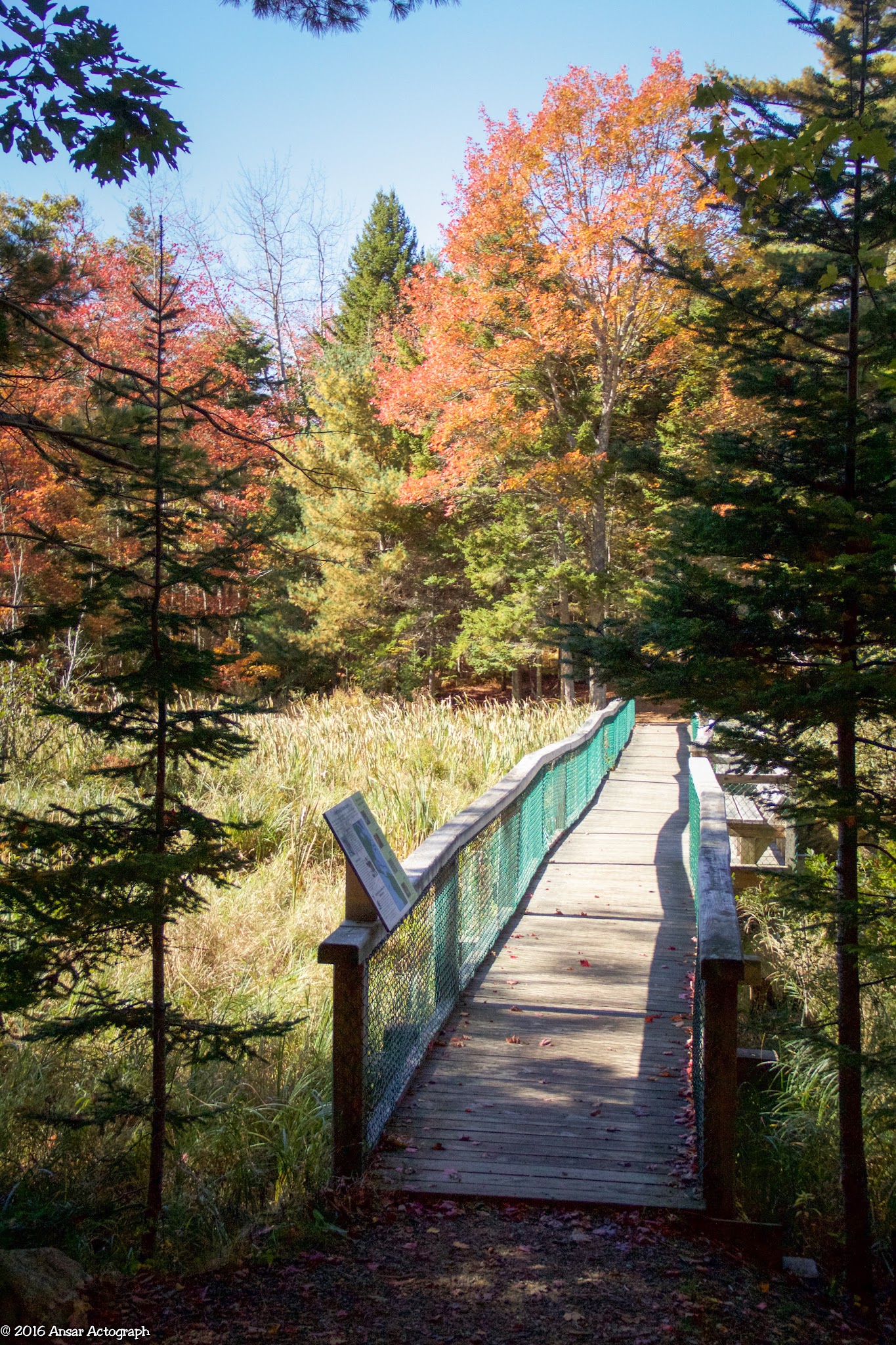 Penny Lake Preserve - Boothbay Harbor, ME