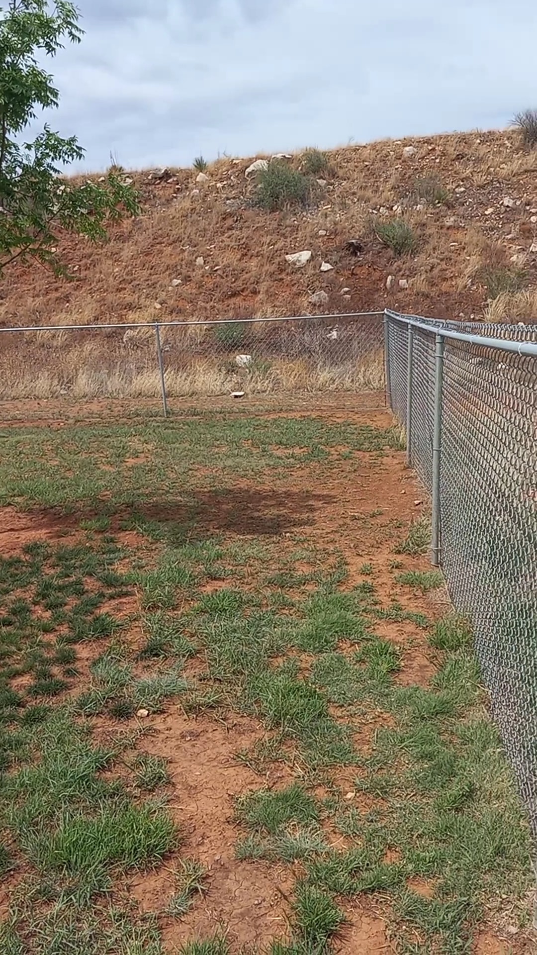 Borger Dog Park - Borger, TX