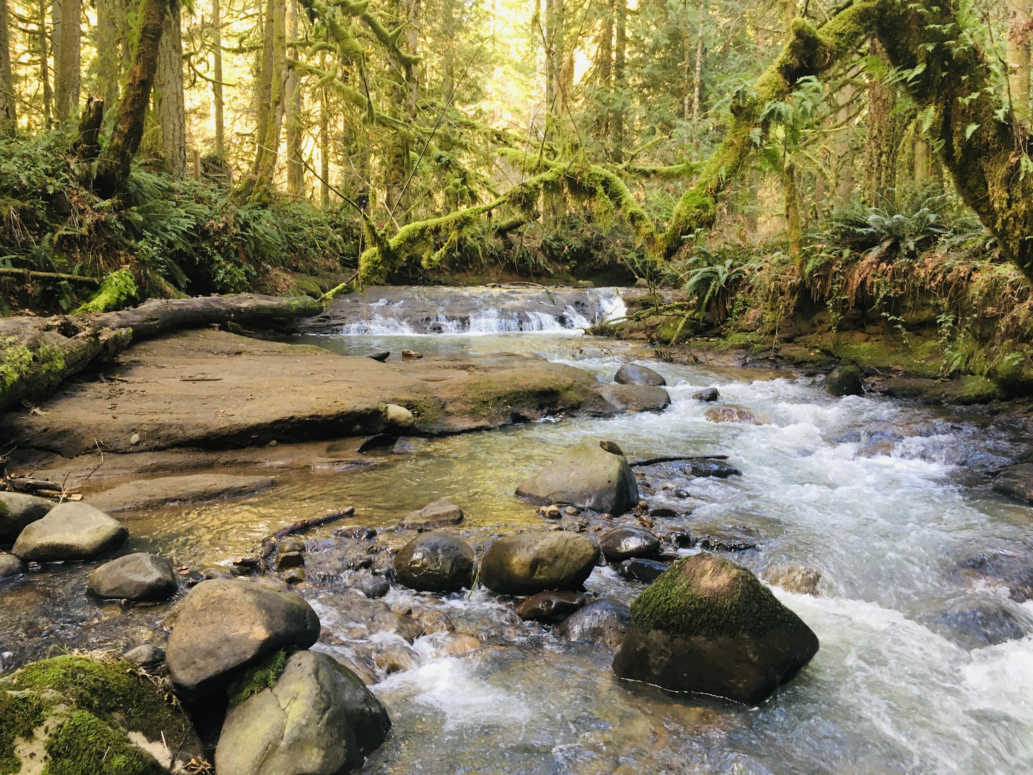Cazadero Trail - Boring, OR