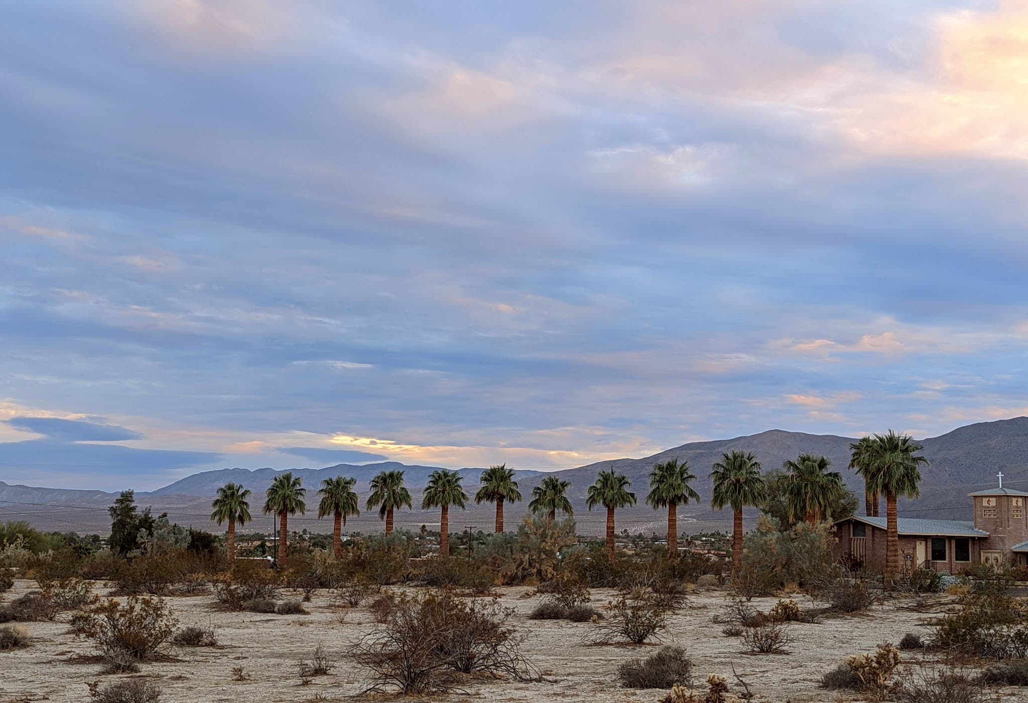 Borrego Springs Off-Leash Dog Area - Borrego Springs, CA