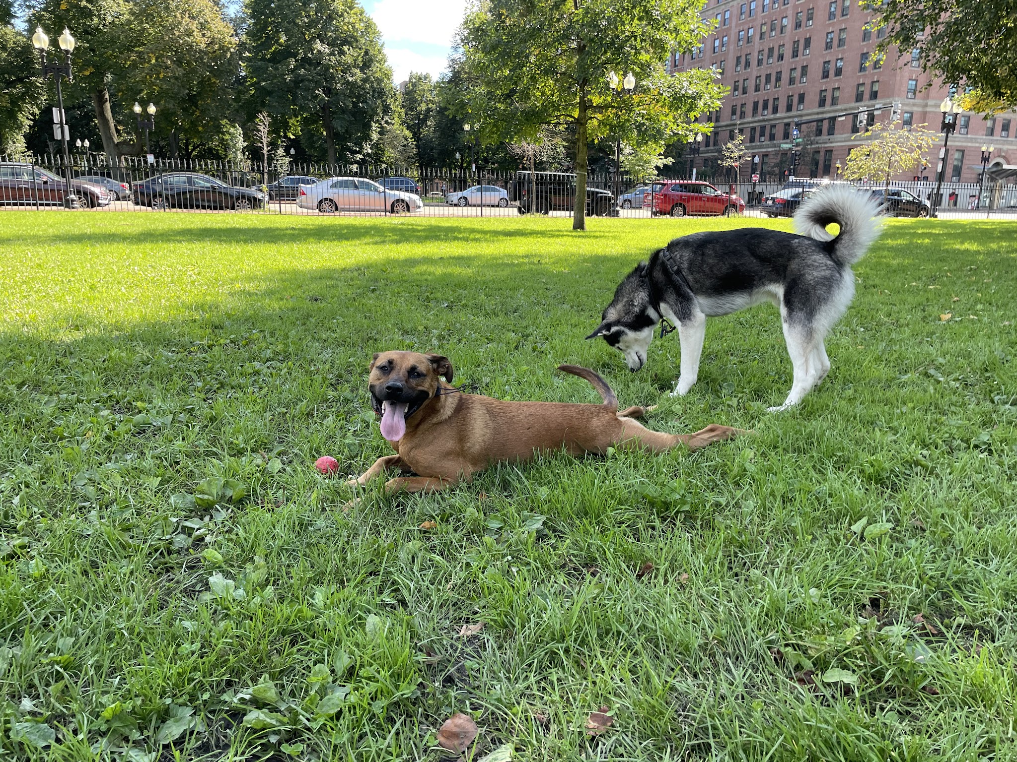 Blackstone Square - Boston, MA