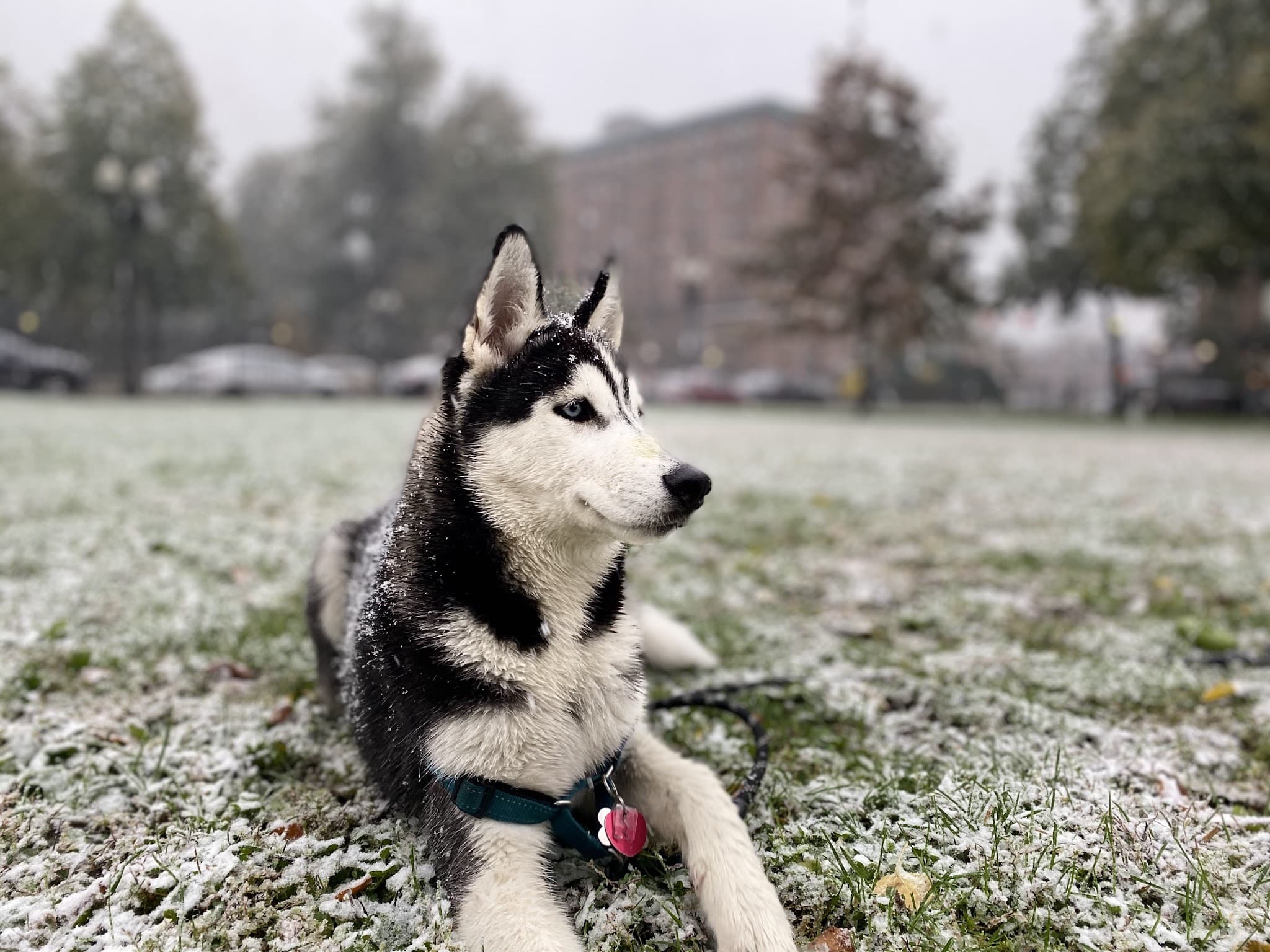 Blackstone Square - Boston, MA