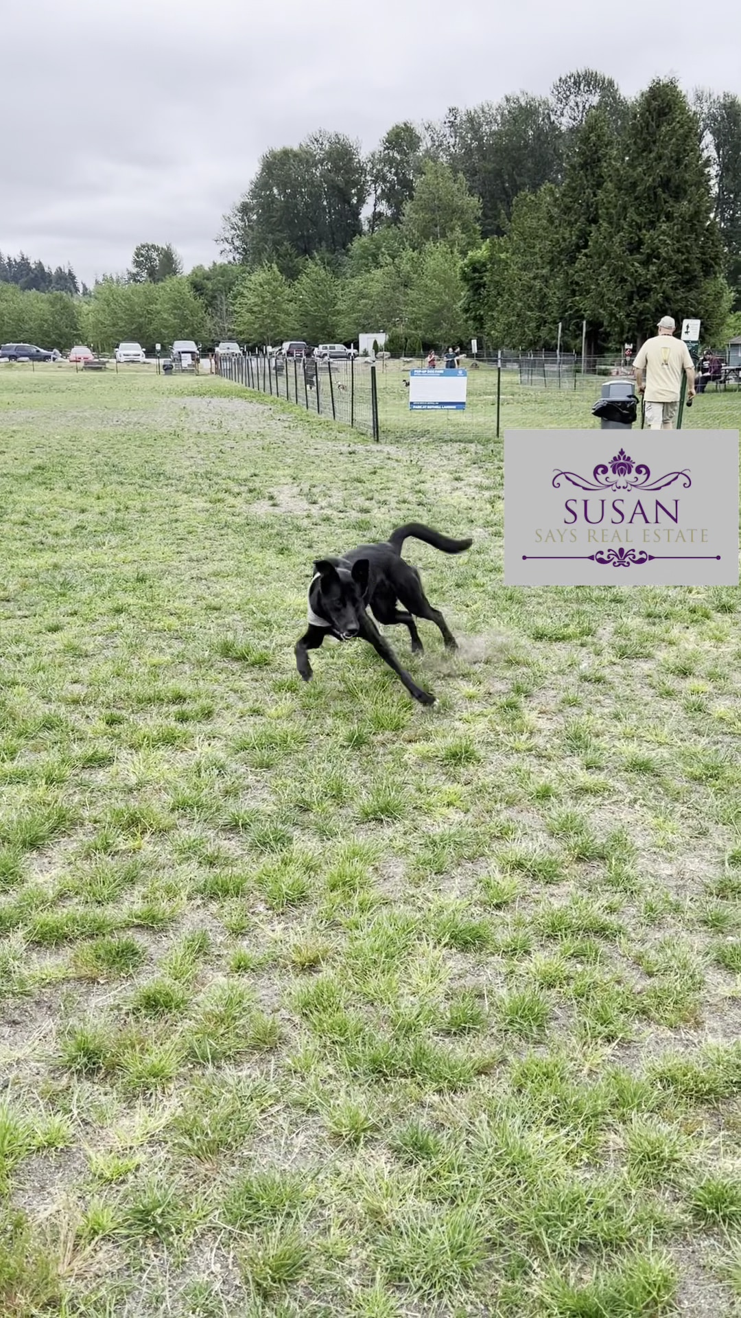 Bothell Pop-up Dog Park - Bothell, WA