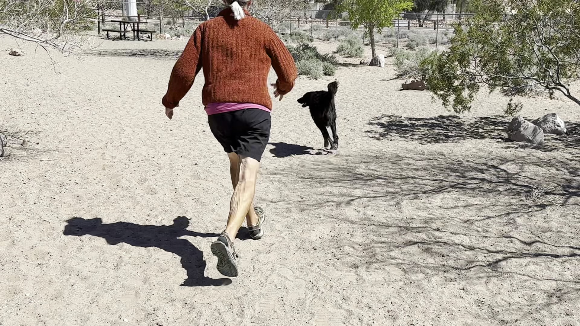 See Spot Run - Boulder City, NV