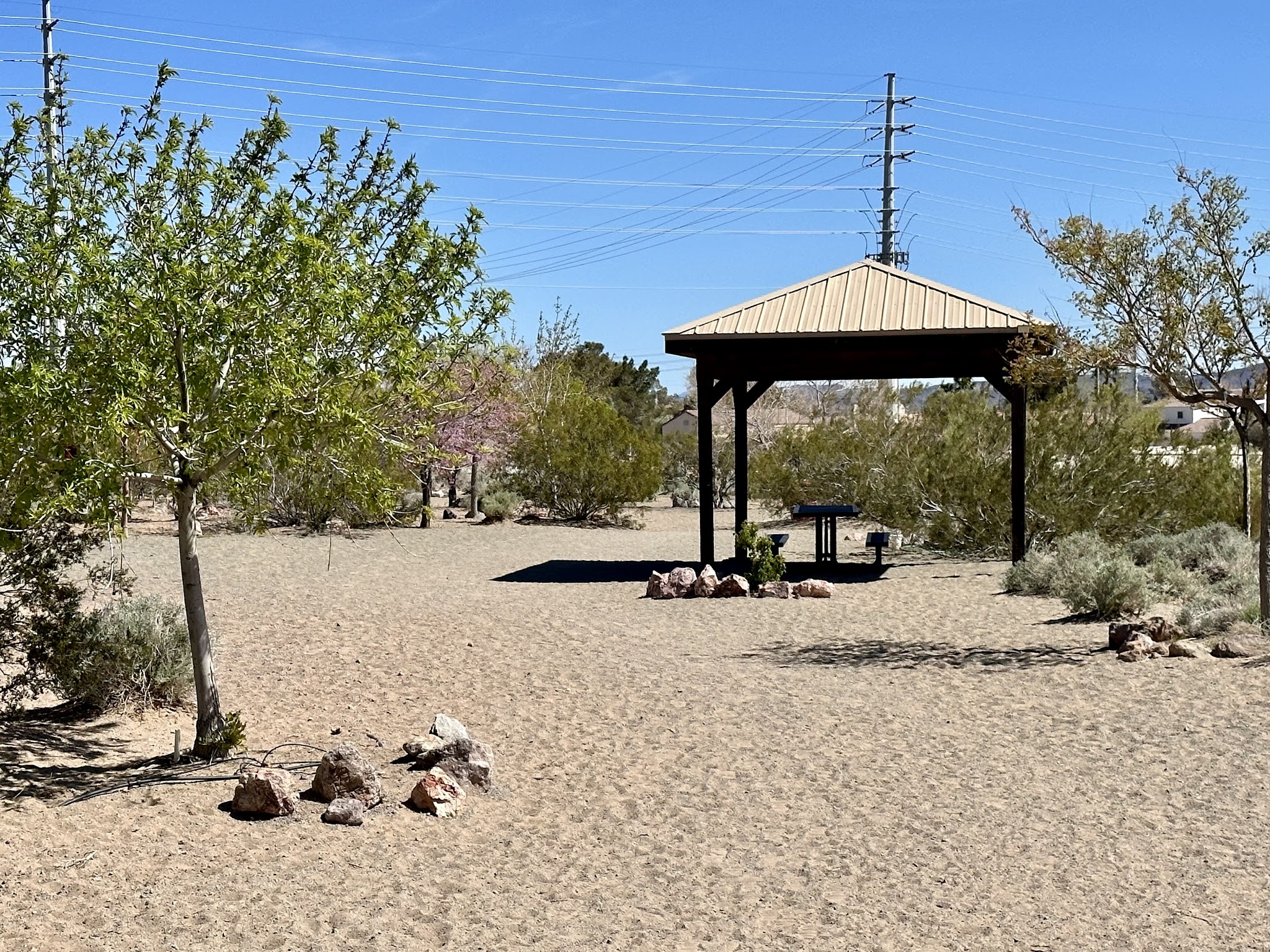 See Spot Run - Boulder City, NV