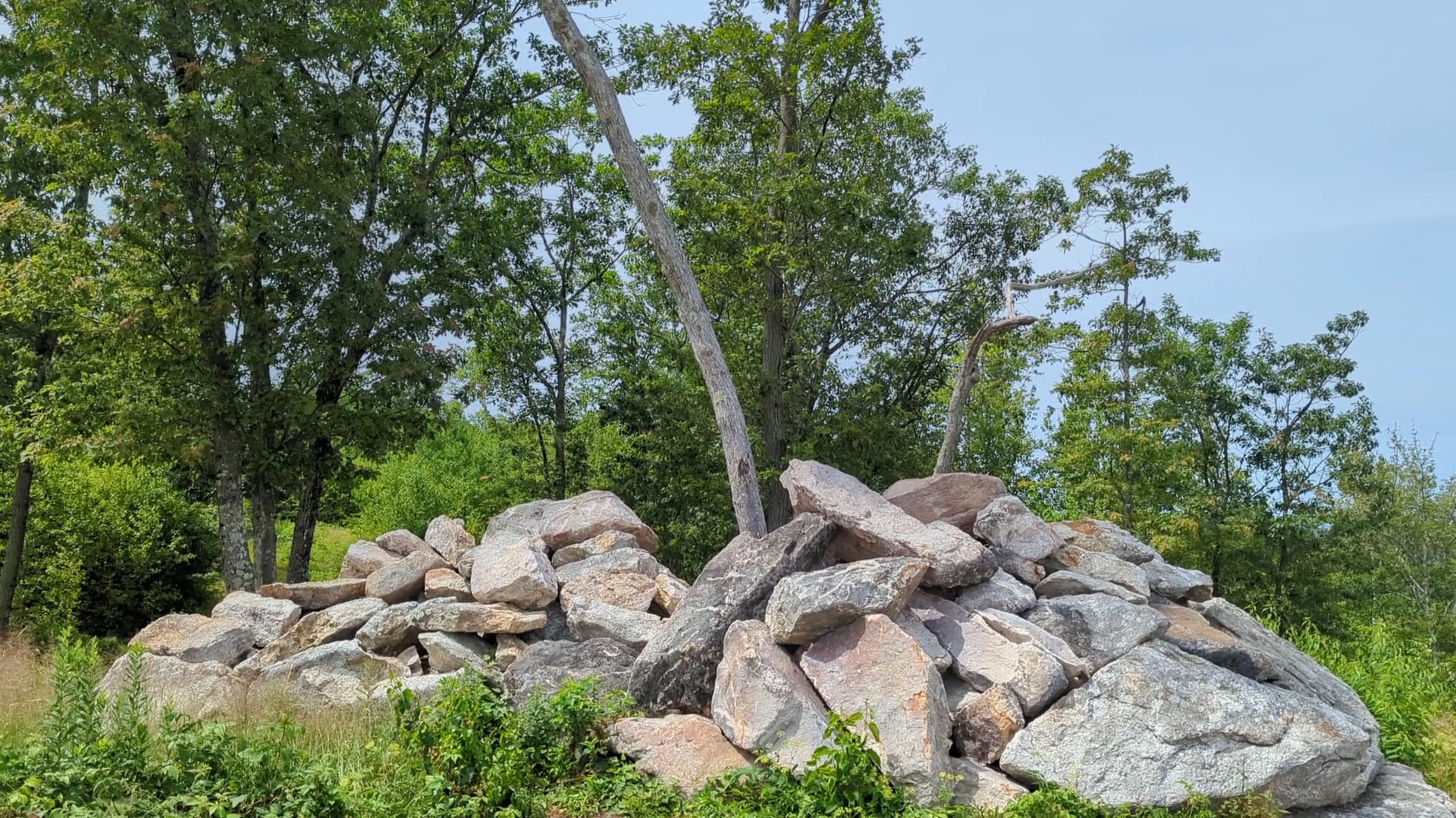 Nottingcook Forest - Bow, NH