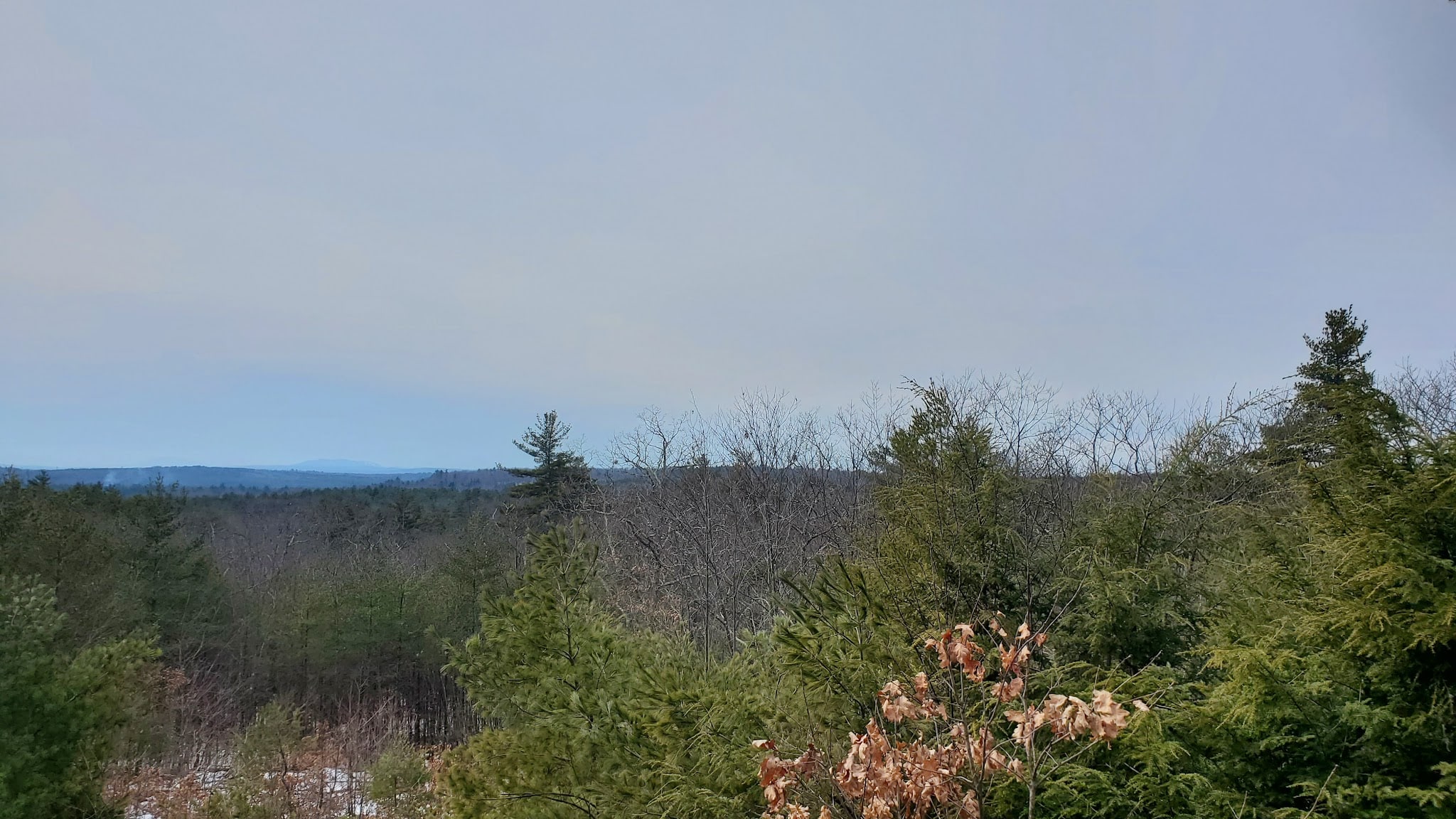 Nottingcook Forest - Bow, NH