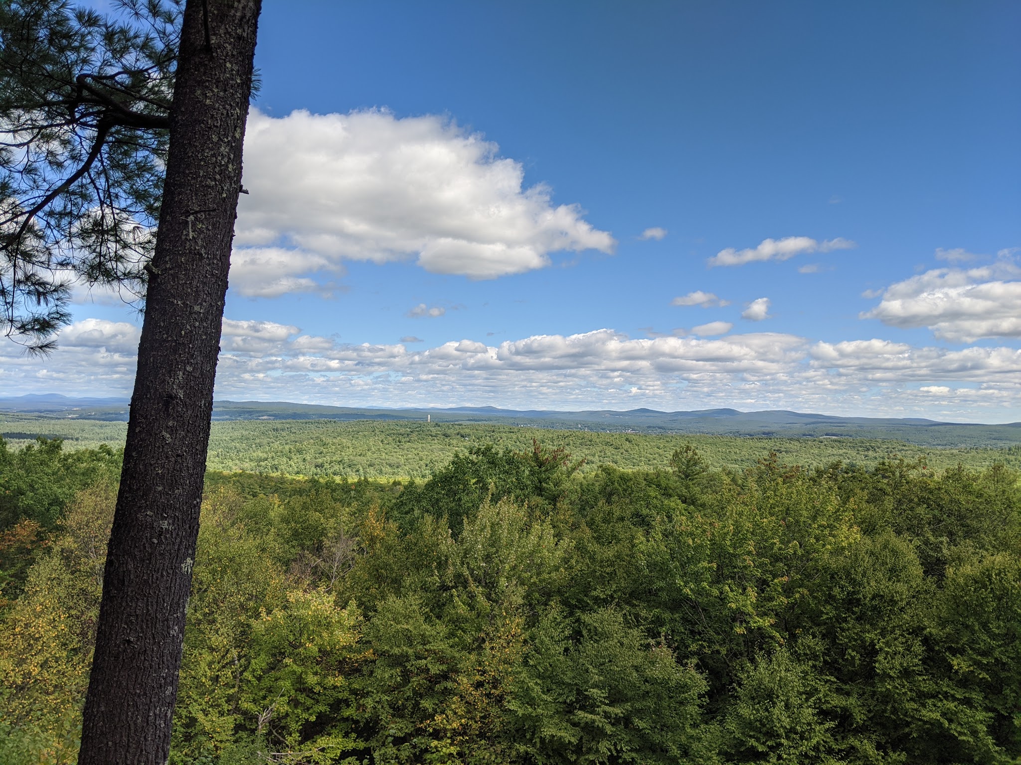Nottingcook Forest - Bow, NH