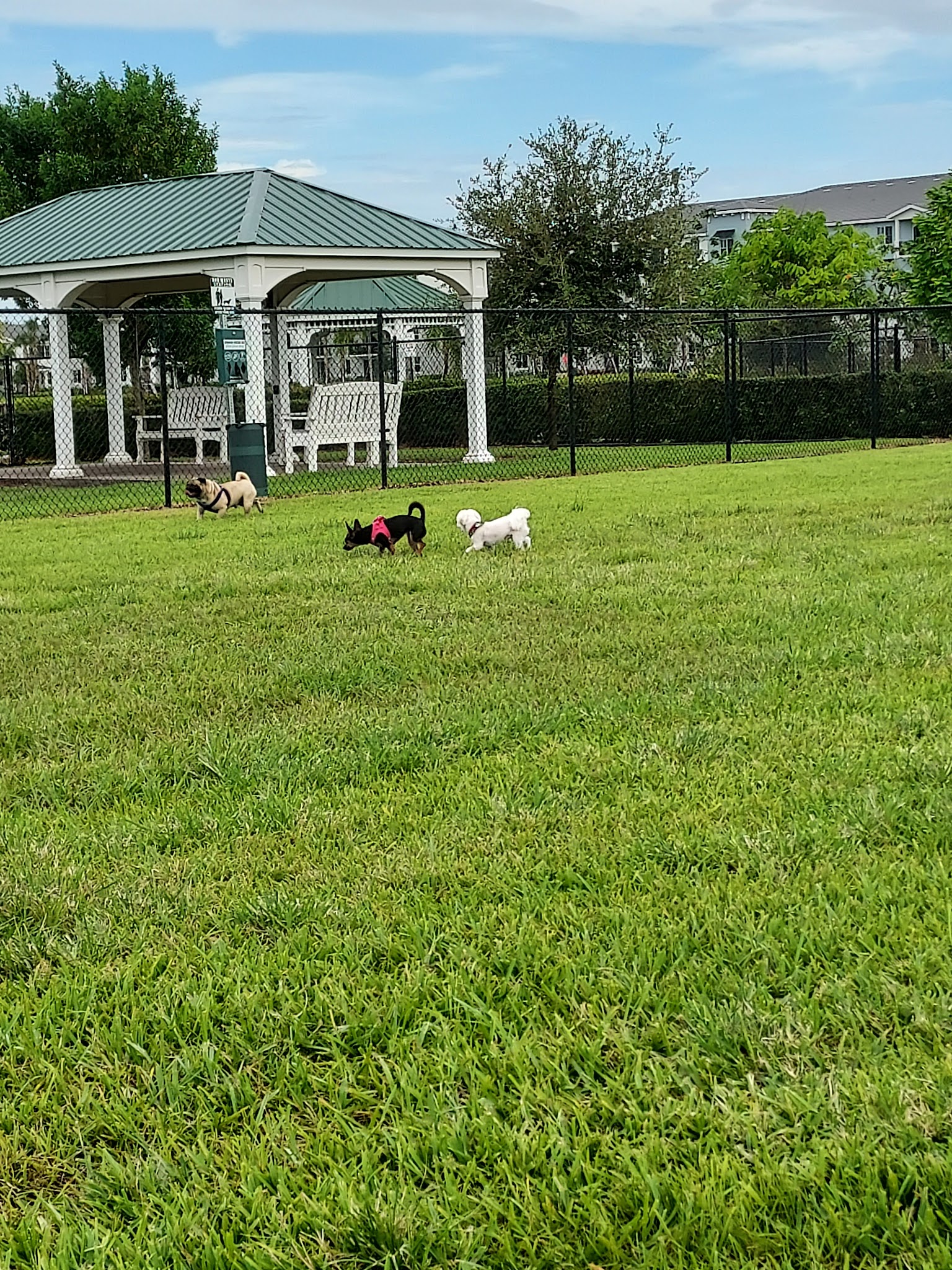Boynton Village Park and Dog Park - Boynton Beach, FL