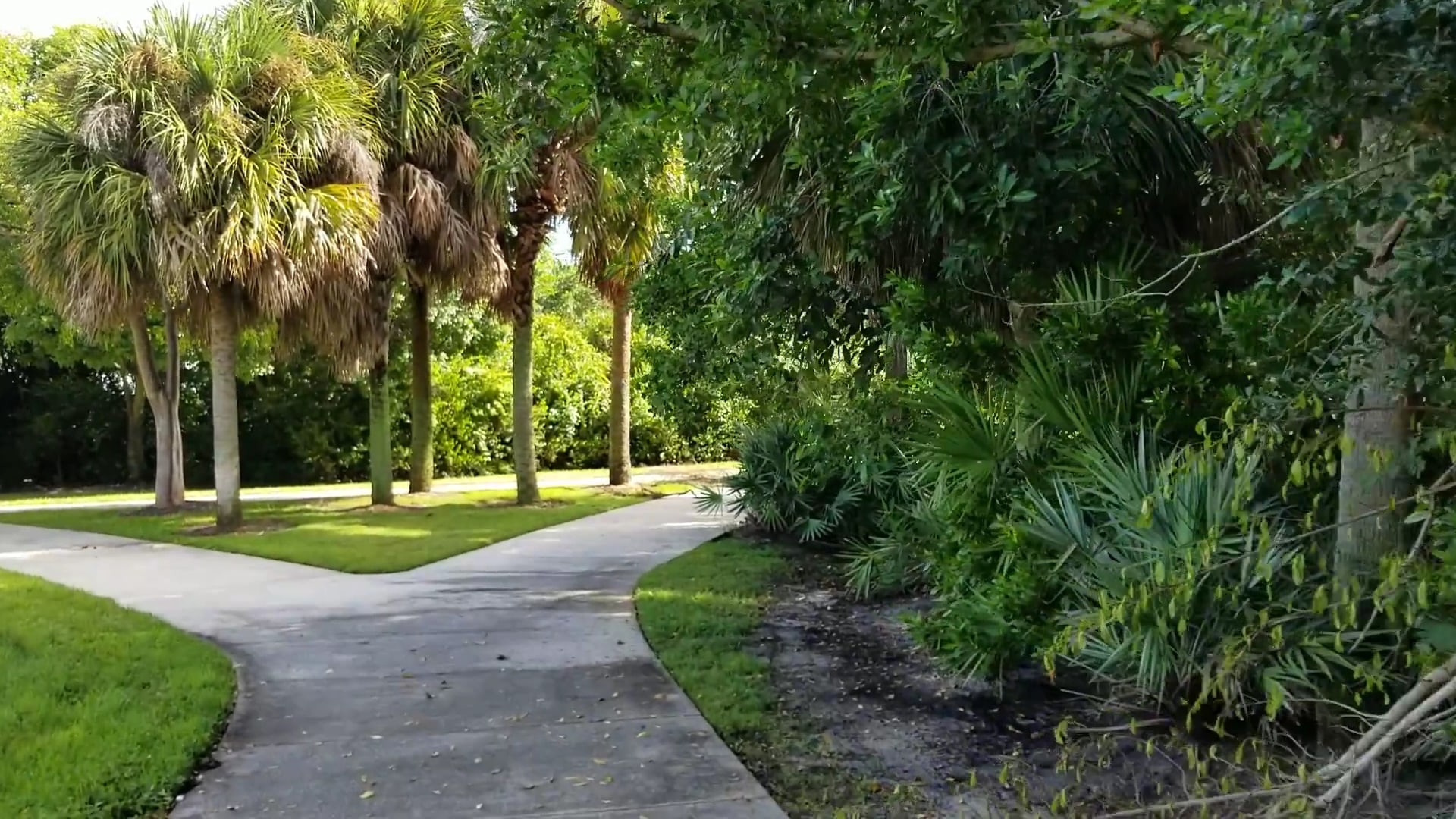 Jaycee Park - Boynton Beach, FL