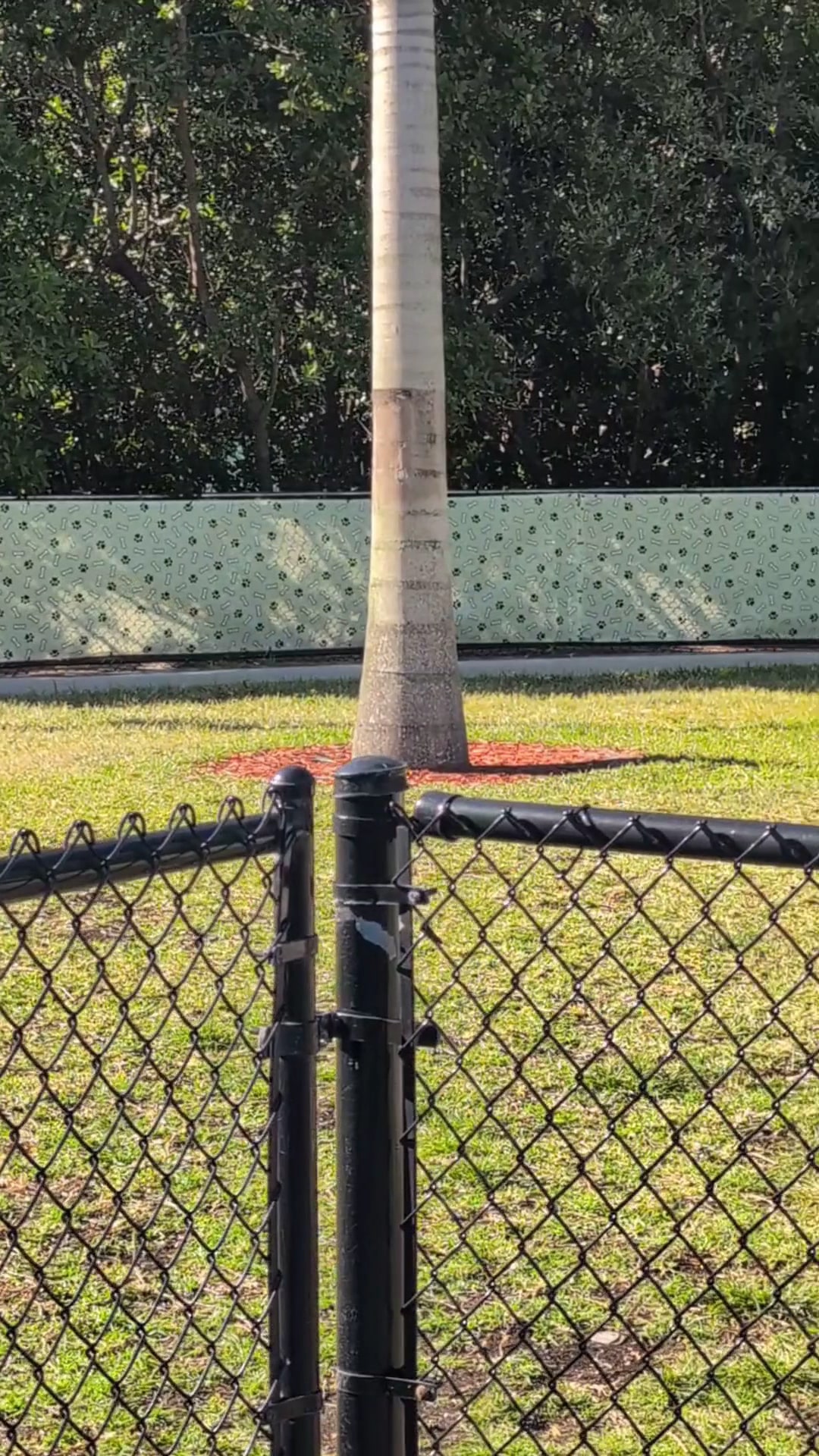 Mangrove Dog Park - Boynton Beach, FL