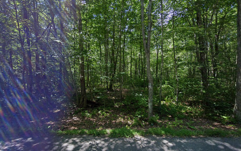 Hopemead State Park Reserve - Bozrah, CT