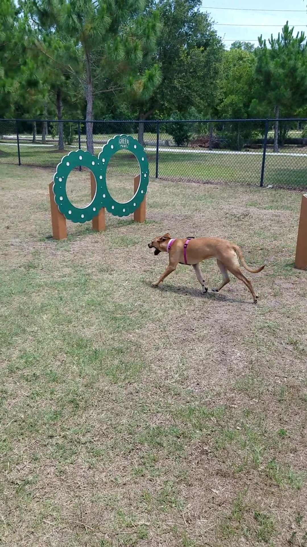 Creekwood Park - Bradenton, FL