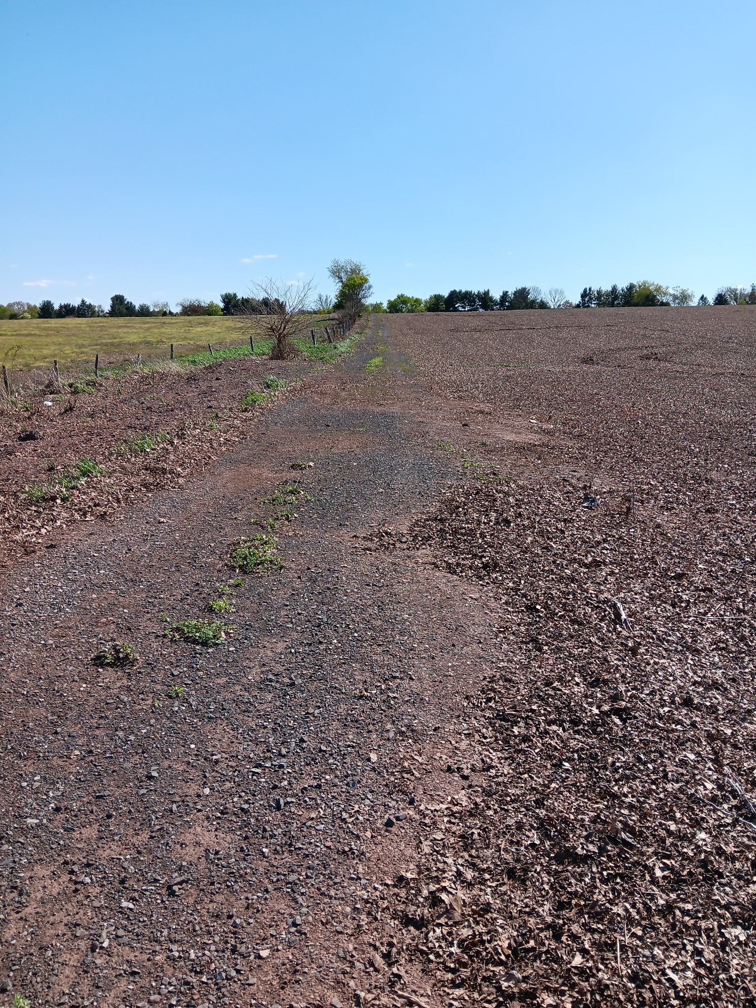River Lea Farm Walking Trails - Branchburg, NJ