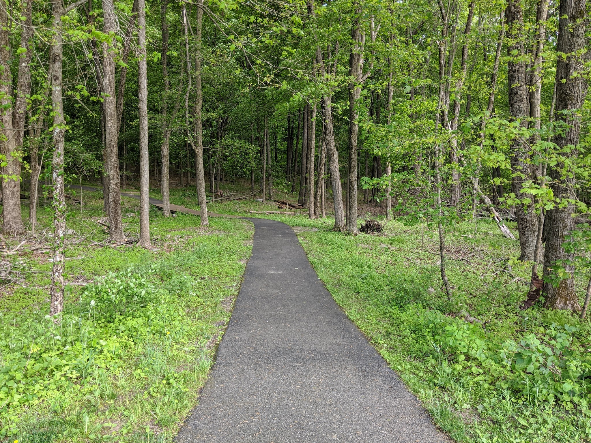 Frankford Township Park - Branchville, NJ