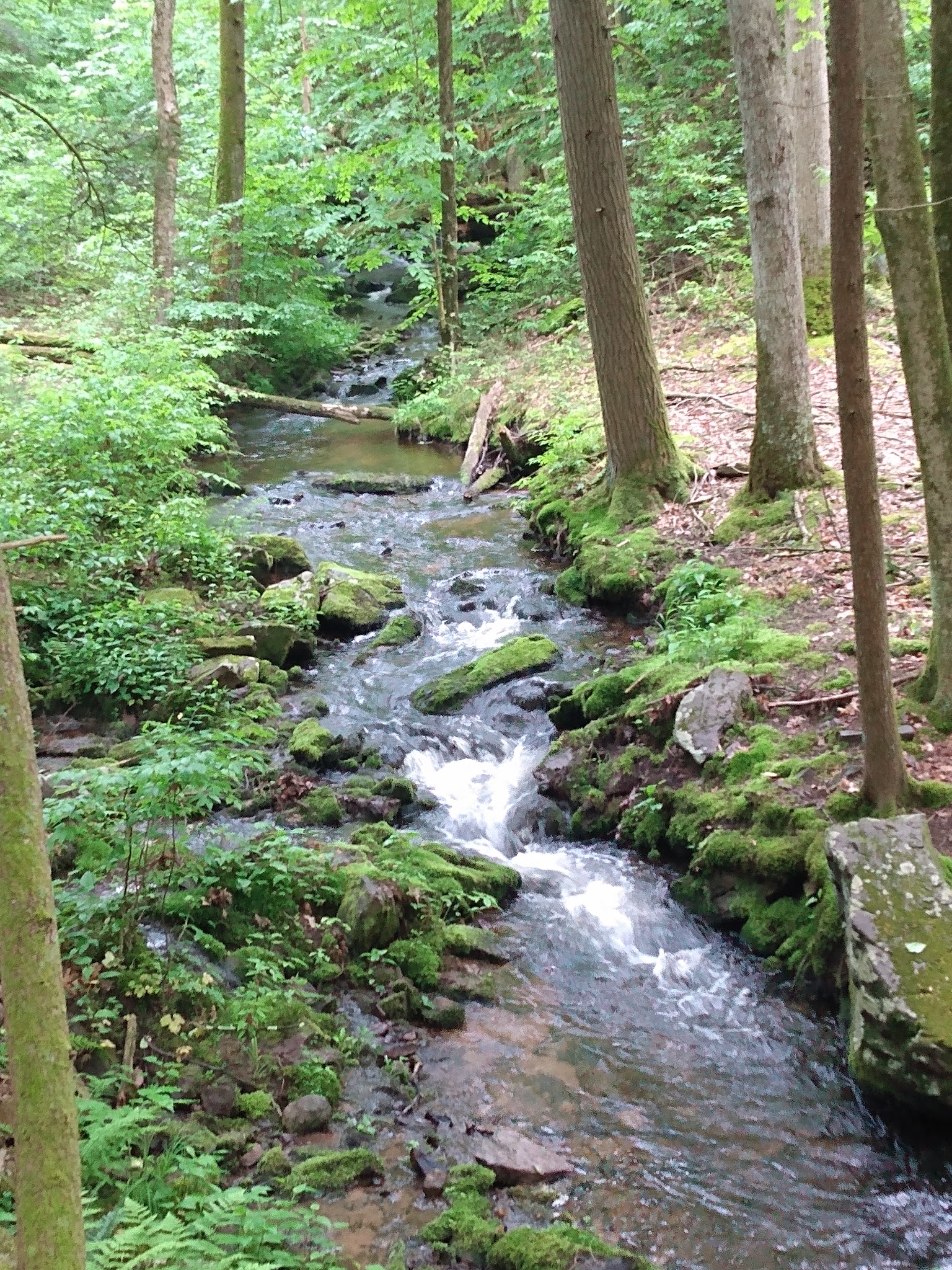 Tillman Ravine - Branchville, NJ