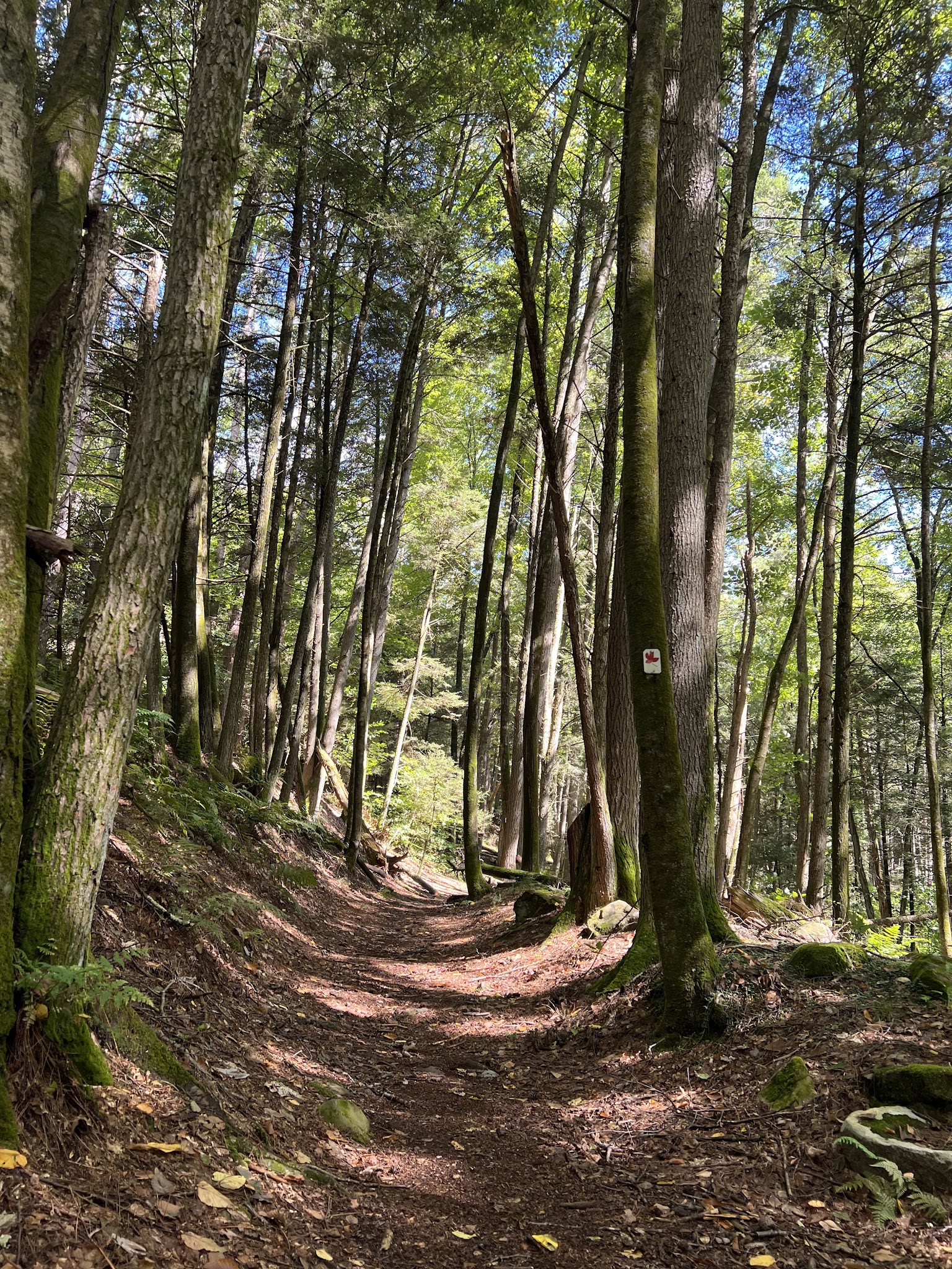 Tillman Ravine - Branchville, NJ