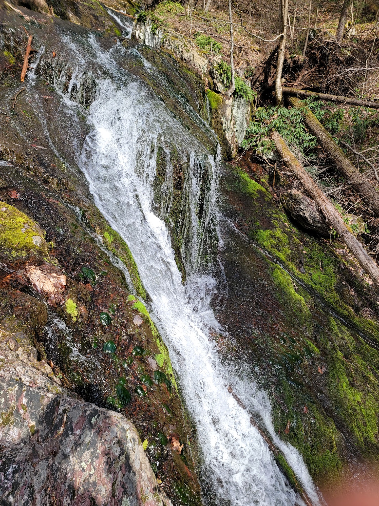 Tillman Ravine - Branchville, NJ