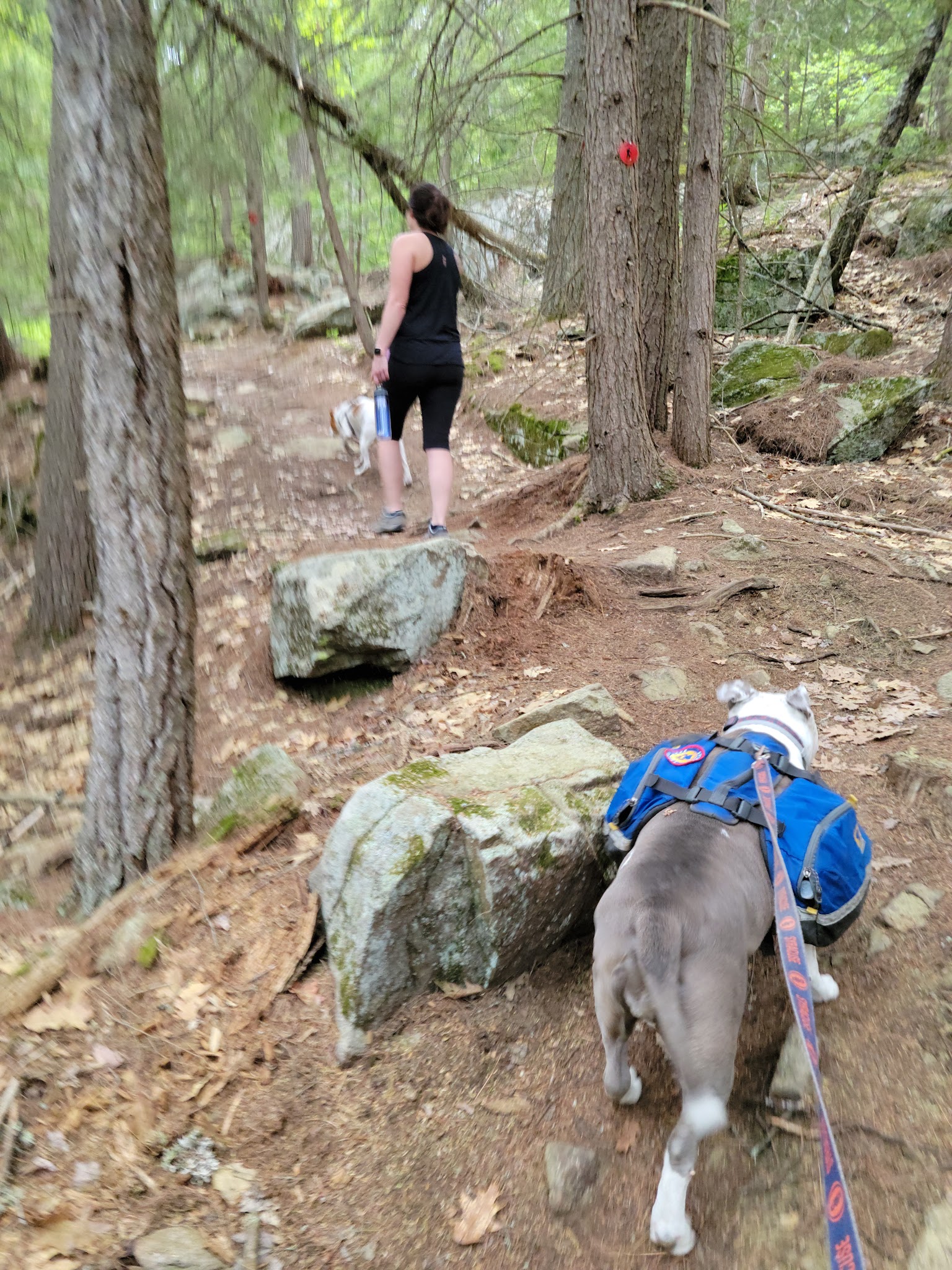 Brant Lake Bike Park - Brant Lake, NY
