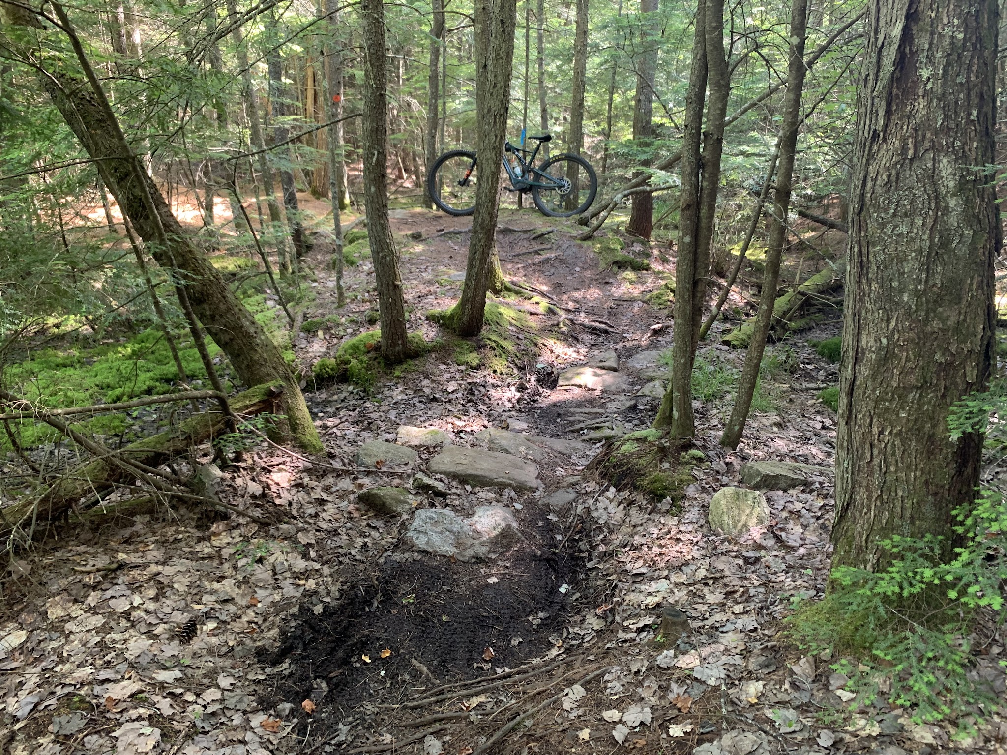 Brant Lake Bike Park - Brant Lake, NY