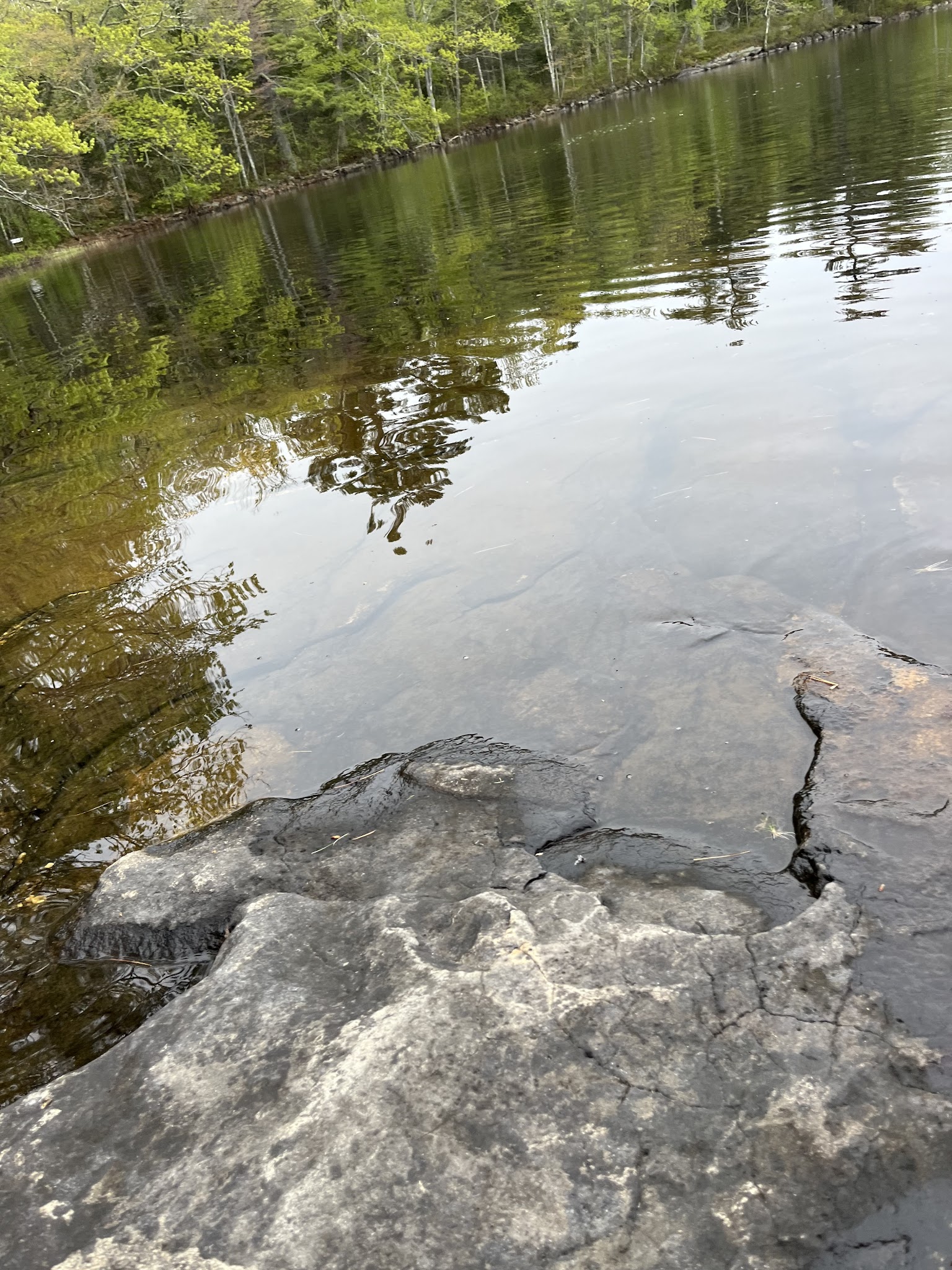 Pemaquid Pond Preserve - Bremen, ME