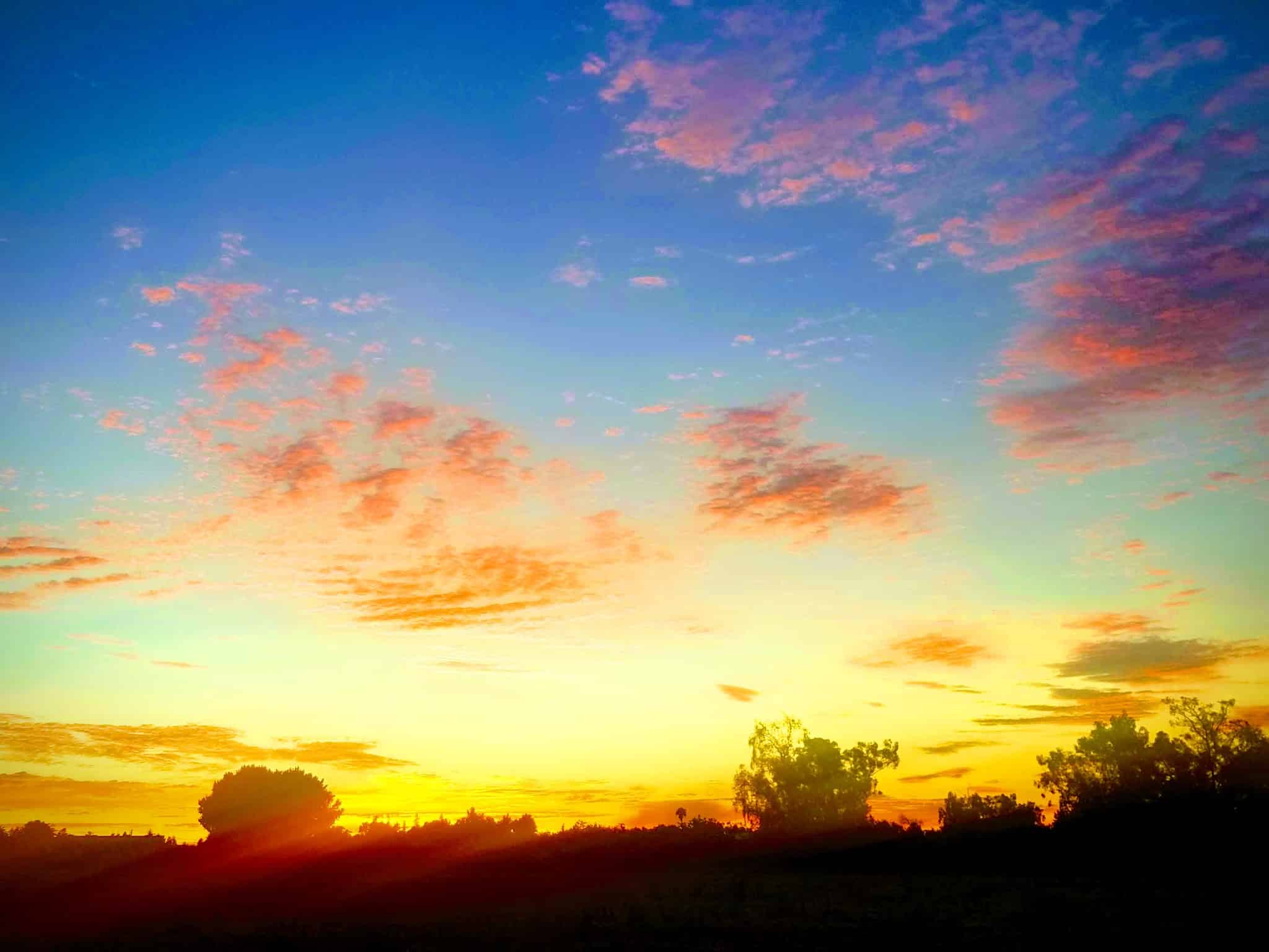 Marsh Creek Trail Head - Brentwood, CA