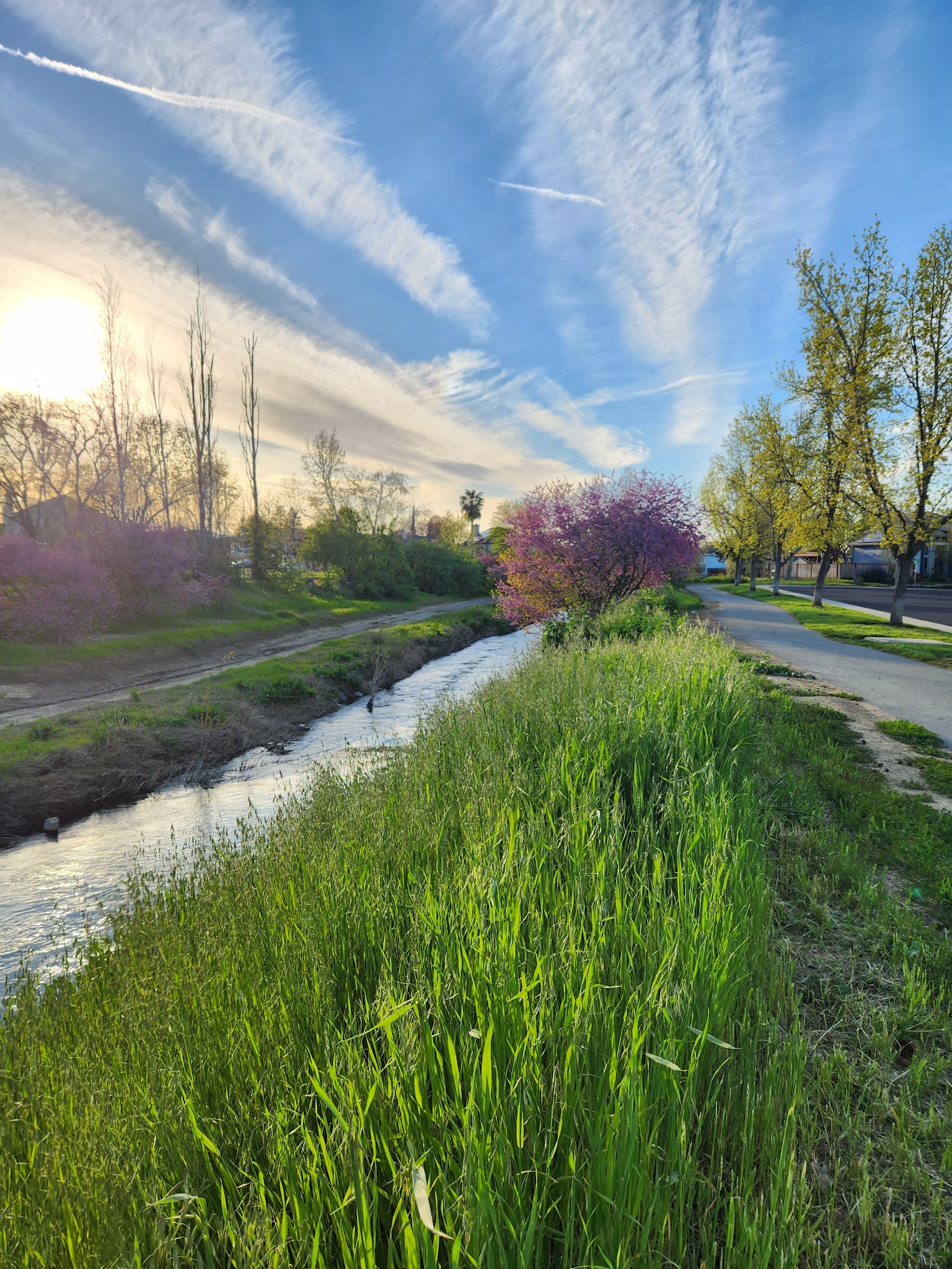 Marsh Creek Trail Head - Brentwood, CA