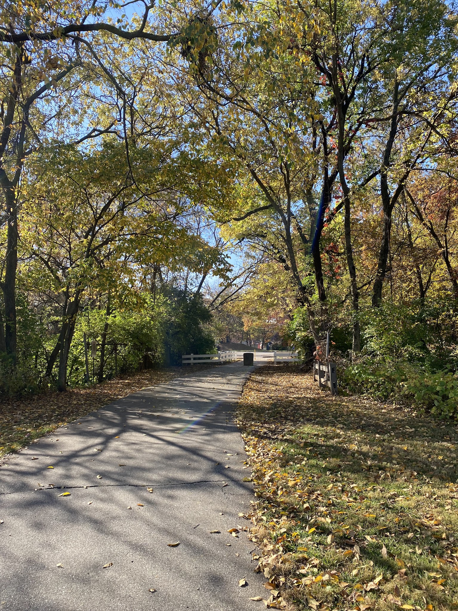 Hanley Park - Brentwood, MO