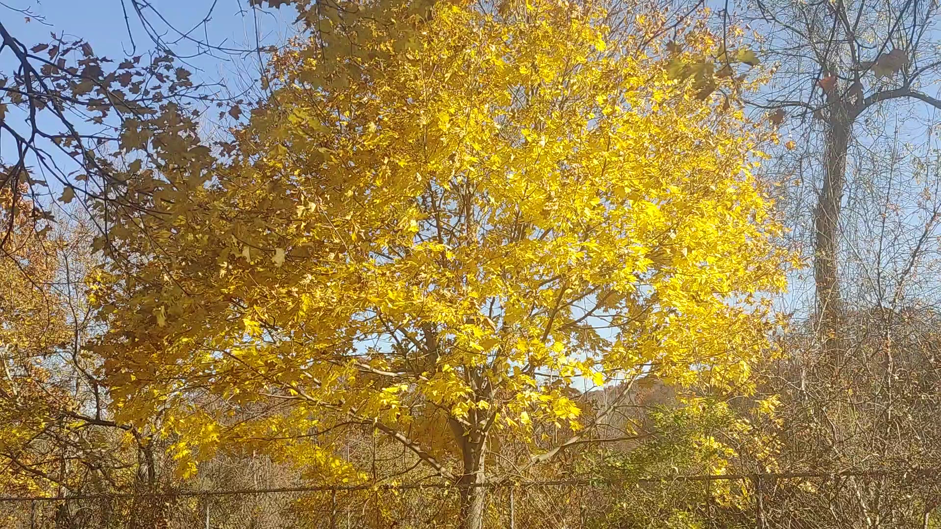 Brewster Rest Area - Brewster, NY