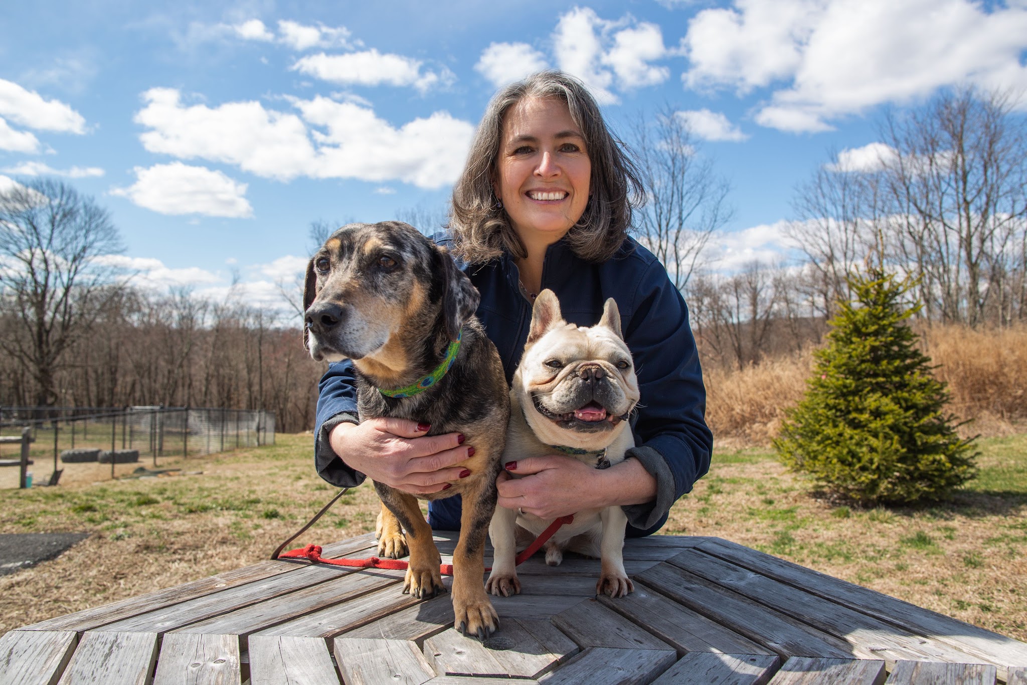 Roosevelt Veterinary Center - Brewster, NY