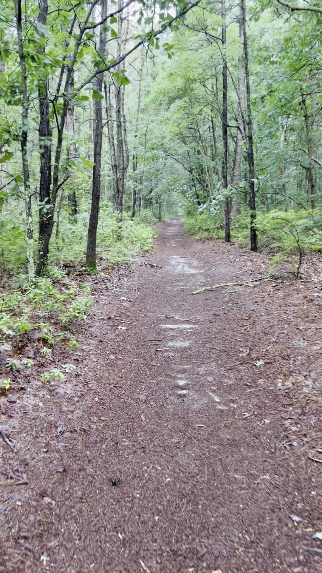 Airport Trail - Brick Township, NJ