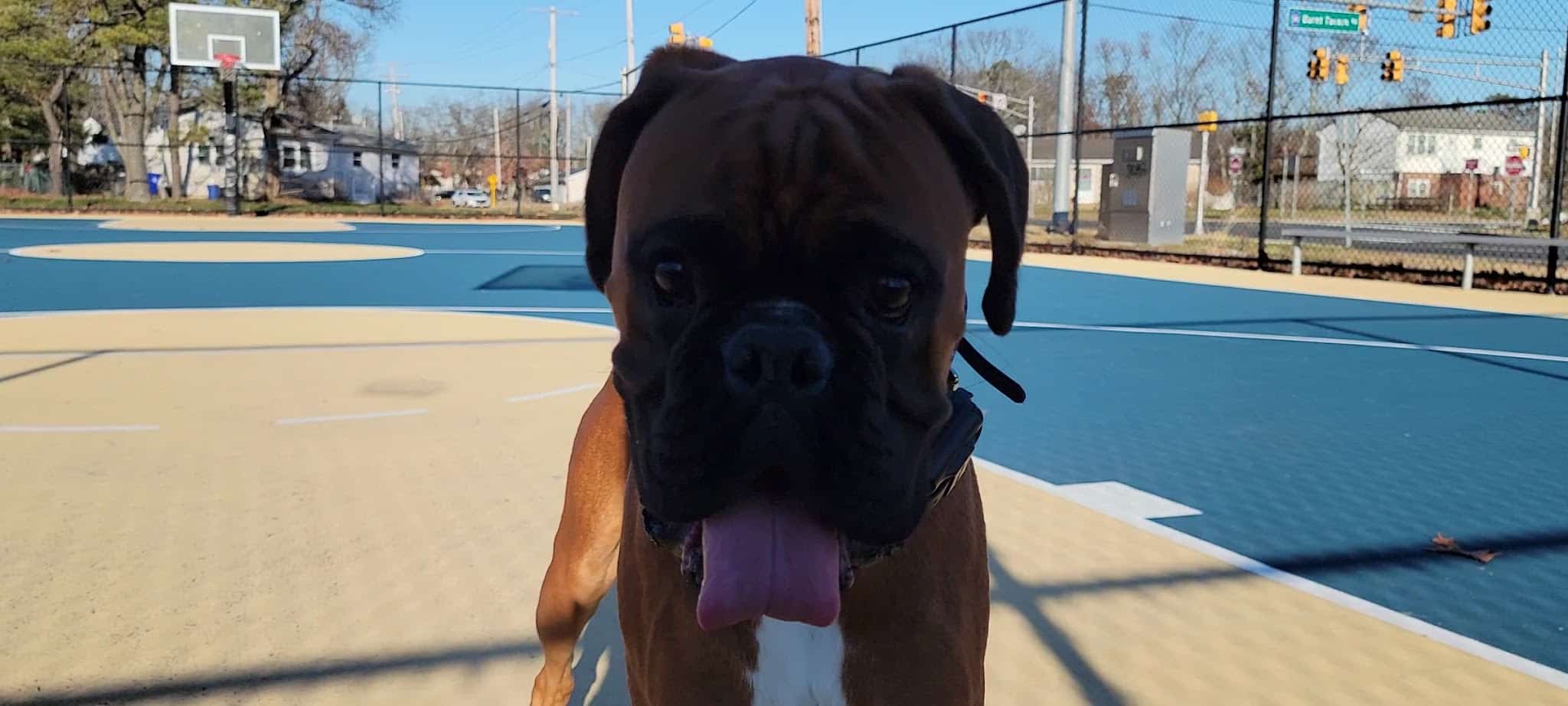 Bernard J. Cooke Memorial - Brick Township, NJ