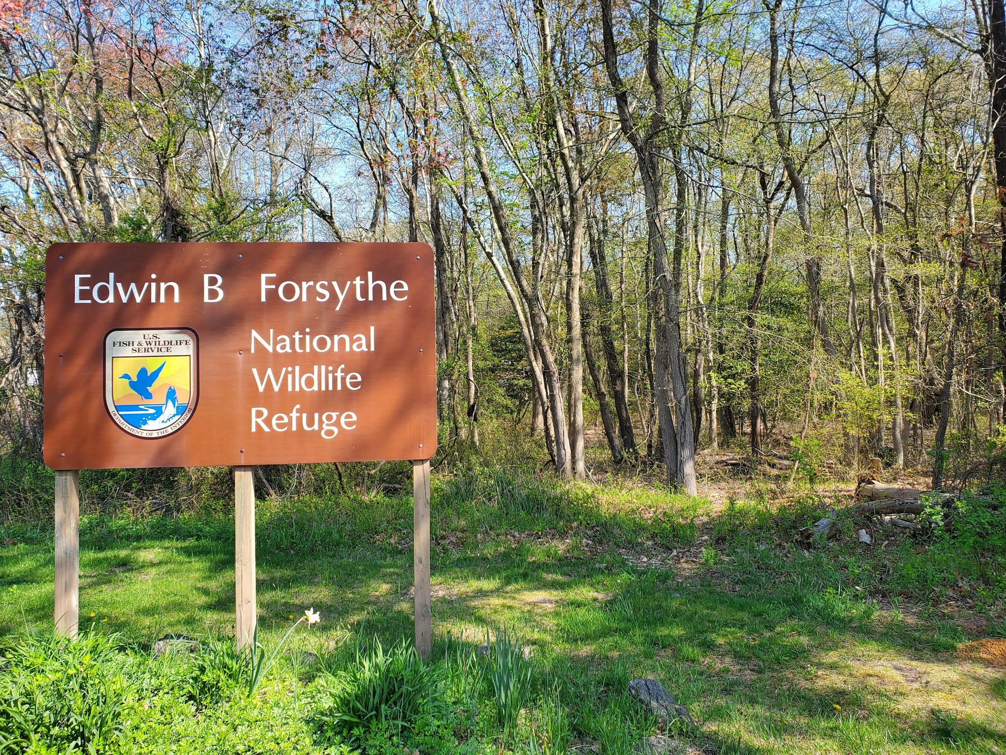 Edwin B. Forsythe National Wildlife Refuge - Brick Township, NJ