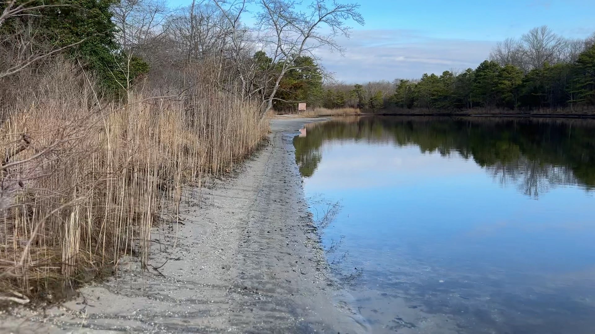 Edwin B. Forsythe National Wildlife Refuge - Brick Township, NJ