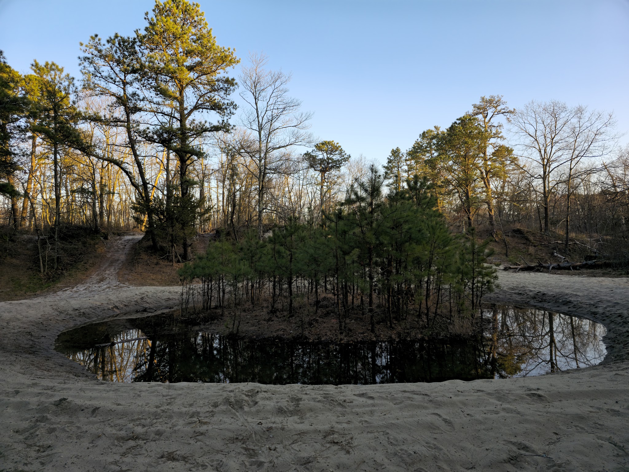Edwin B. Forsythe National Wildlife Refuge - Brick Township, NJ