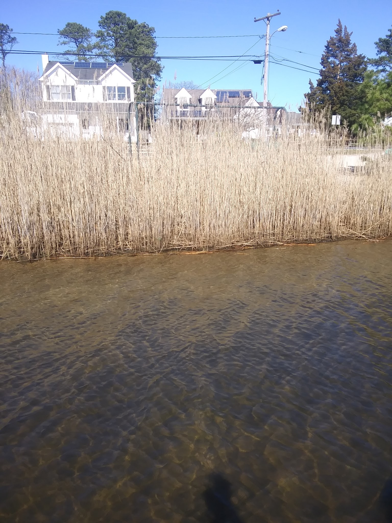 Mallard Point Park - Brick Township, NJ