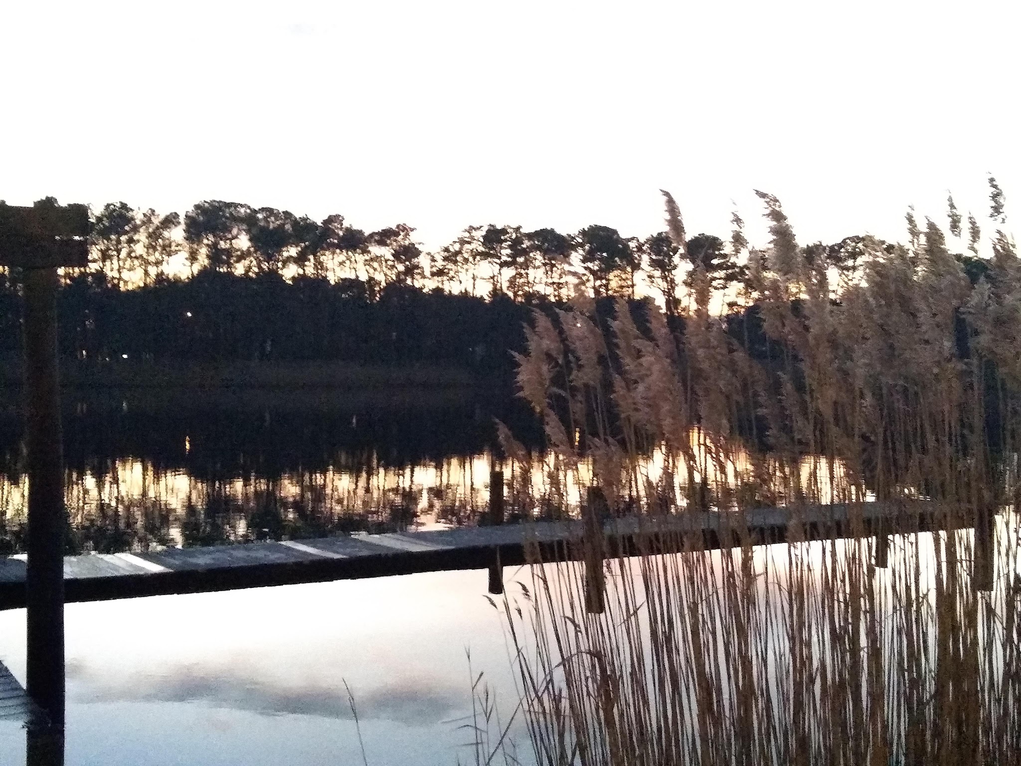 Mallard Point Park - Brick Township, NJ