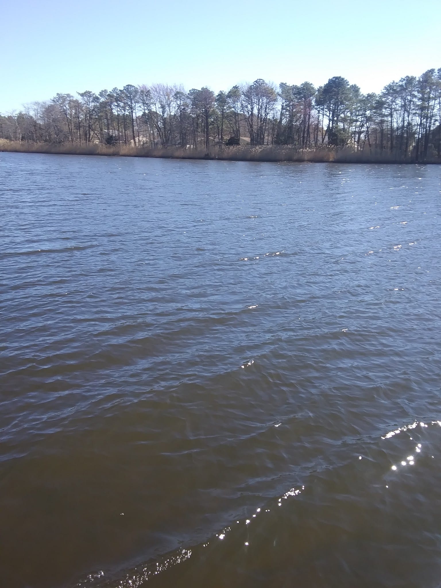 Mallard Point Park - Brick Township, NJ