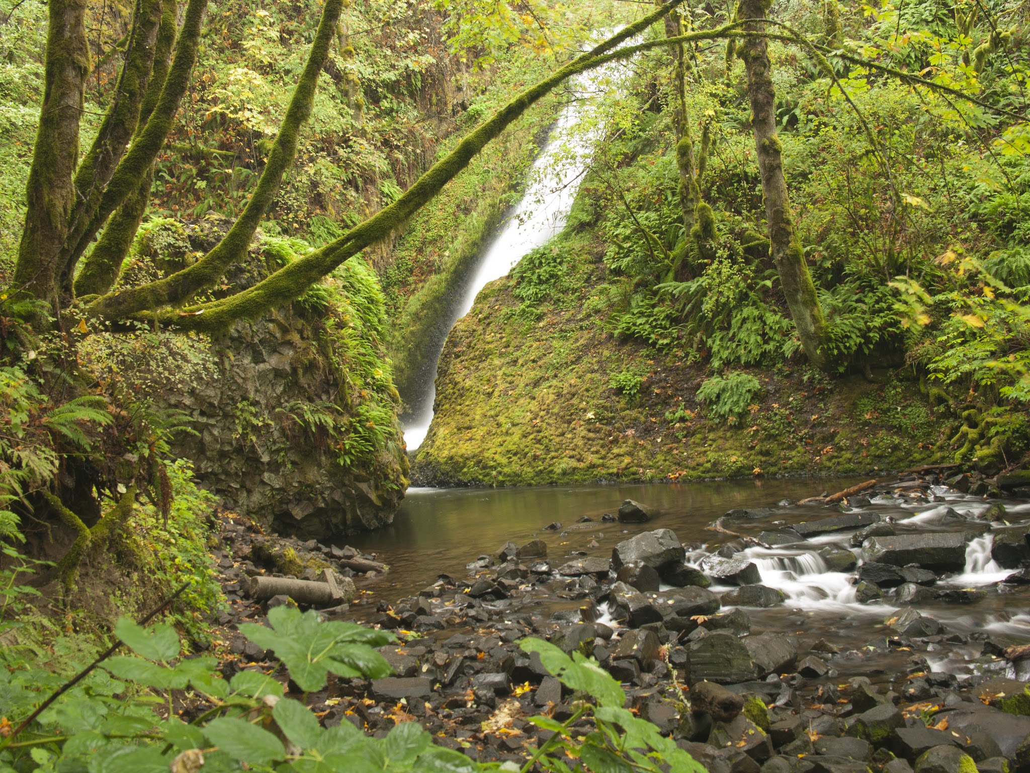 Bridal Veil Falls - Bridal Veil, OR
