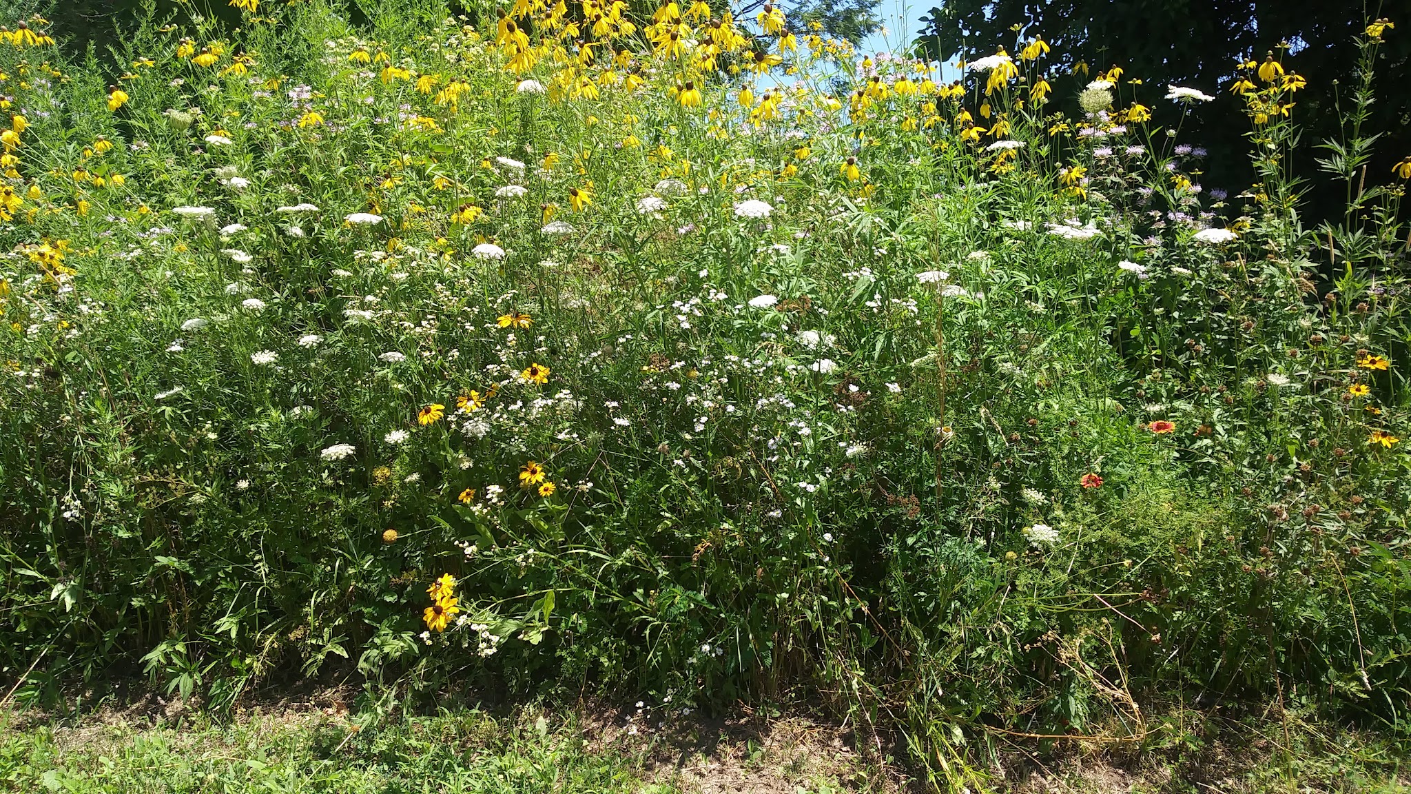 Nob Hill Park - Bridgeport, CT